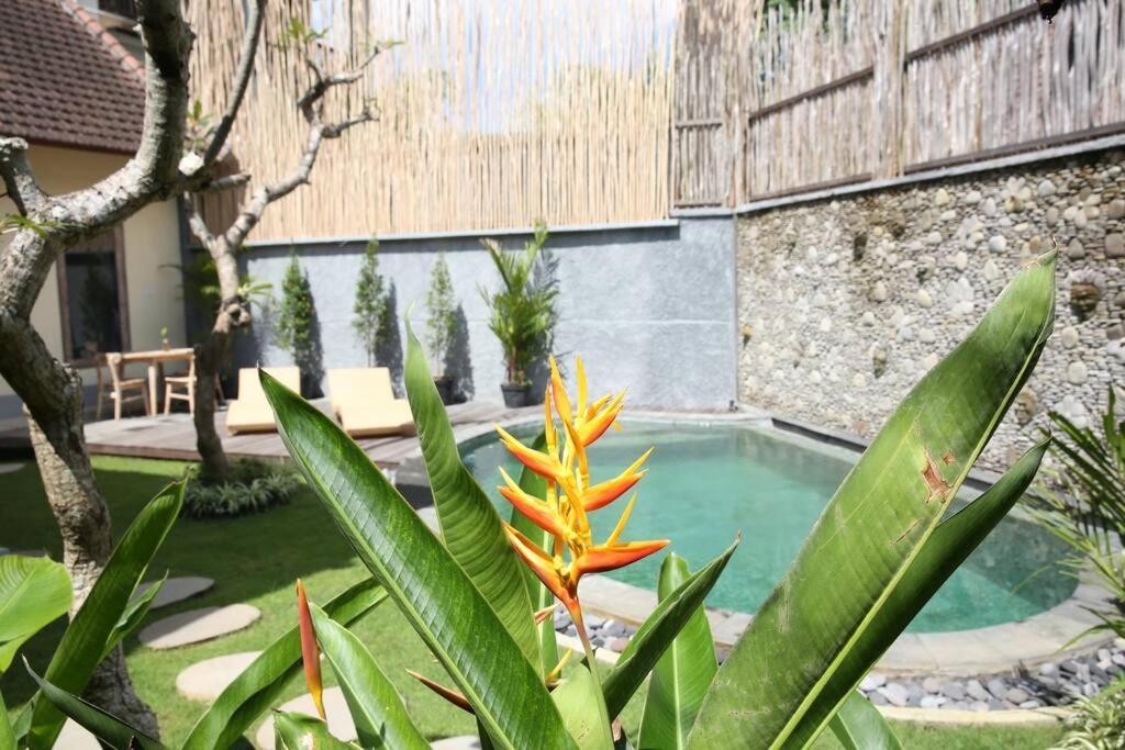 Oasis. Central - Casa Tepi Kali 1 Villa