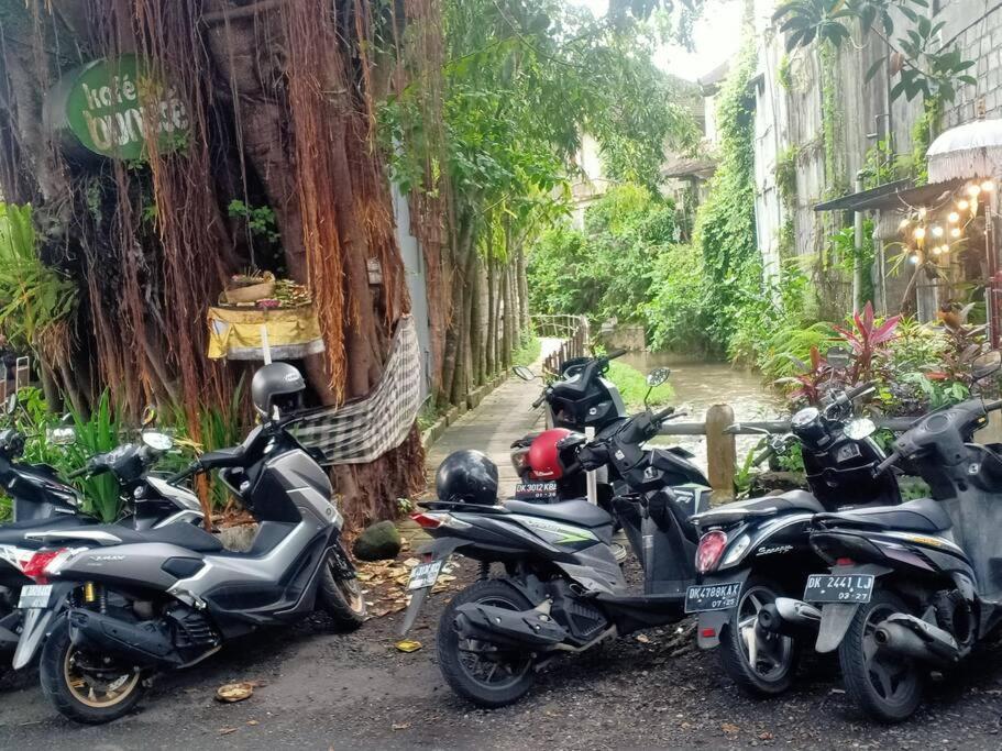 Villa Oasis. Central - Casa Tepi Kali 1 Ubud (Bali)