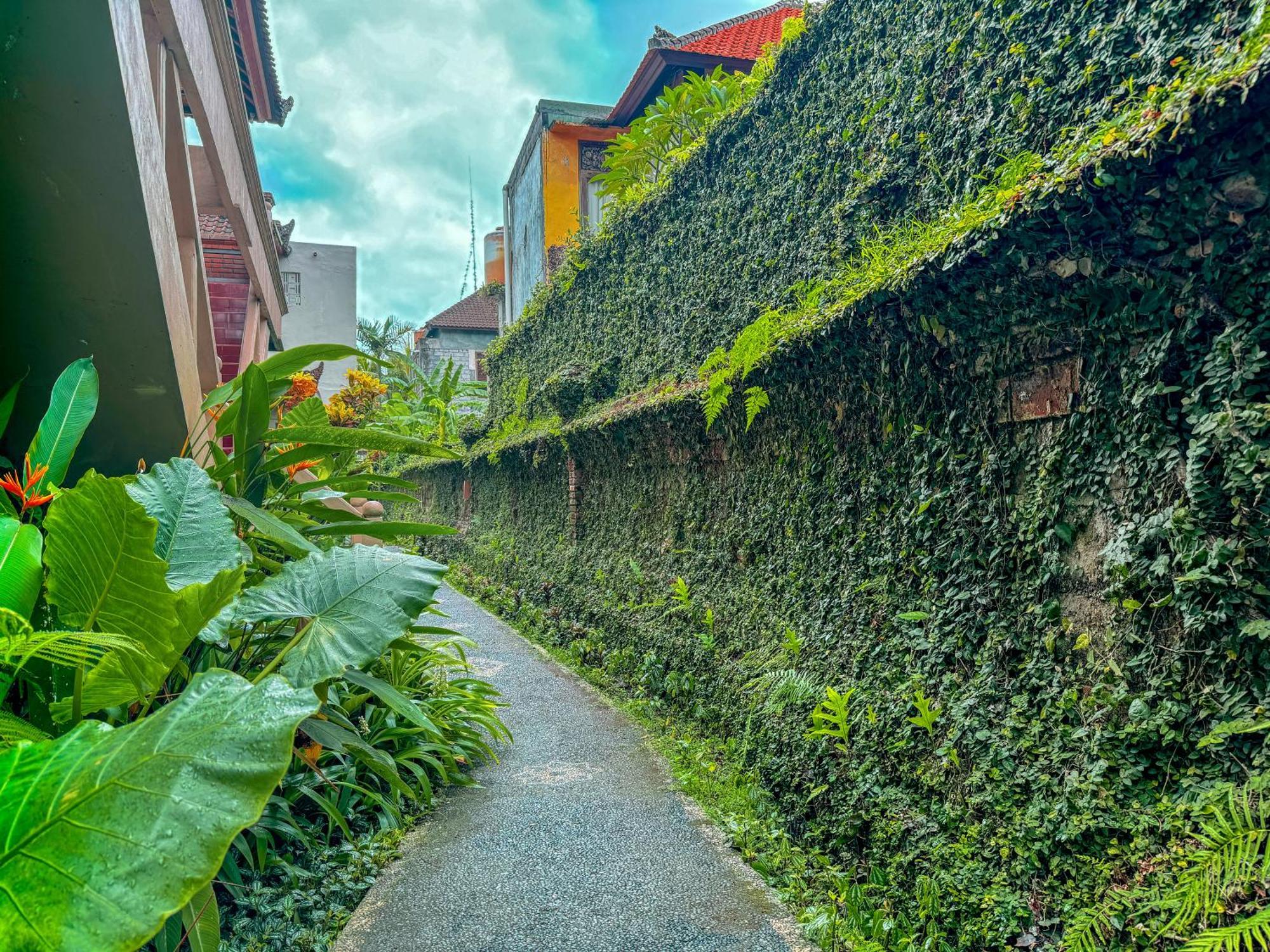 Garden View Guest house Ubud (Bali)