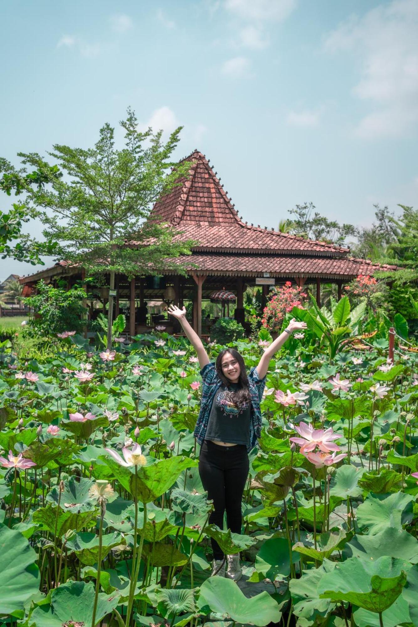 Art Vakantiepark 4*