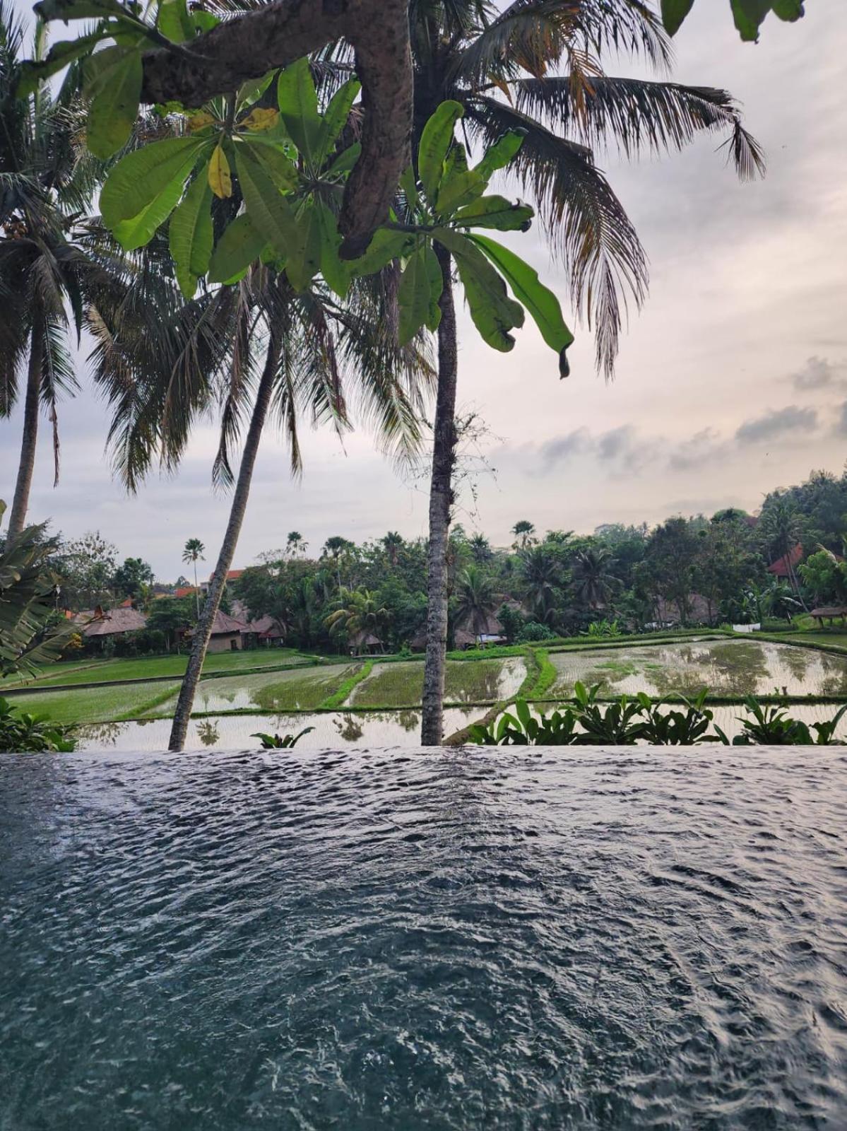 Motama Villa Ubud (Bali)