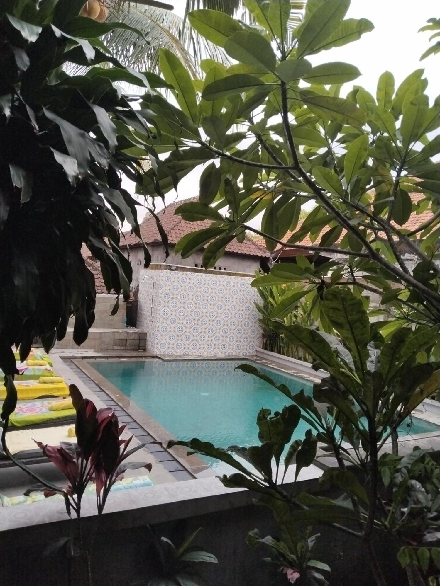 Dewa Wisma tamu