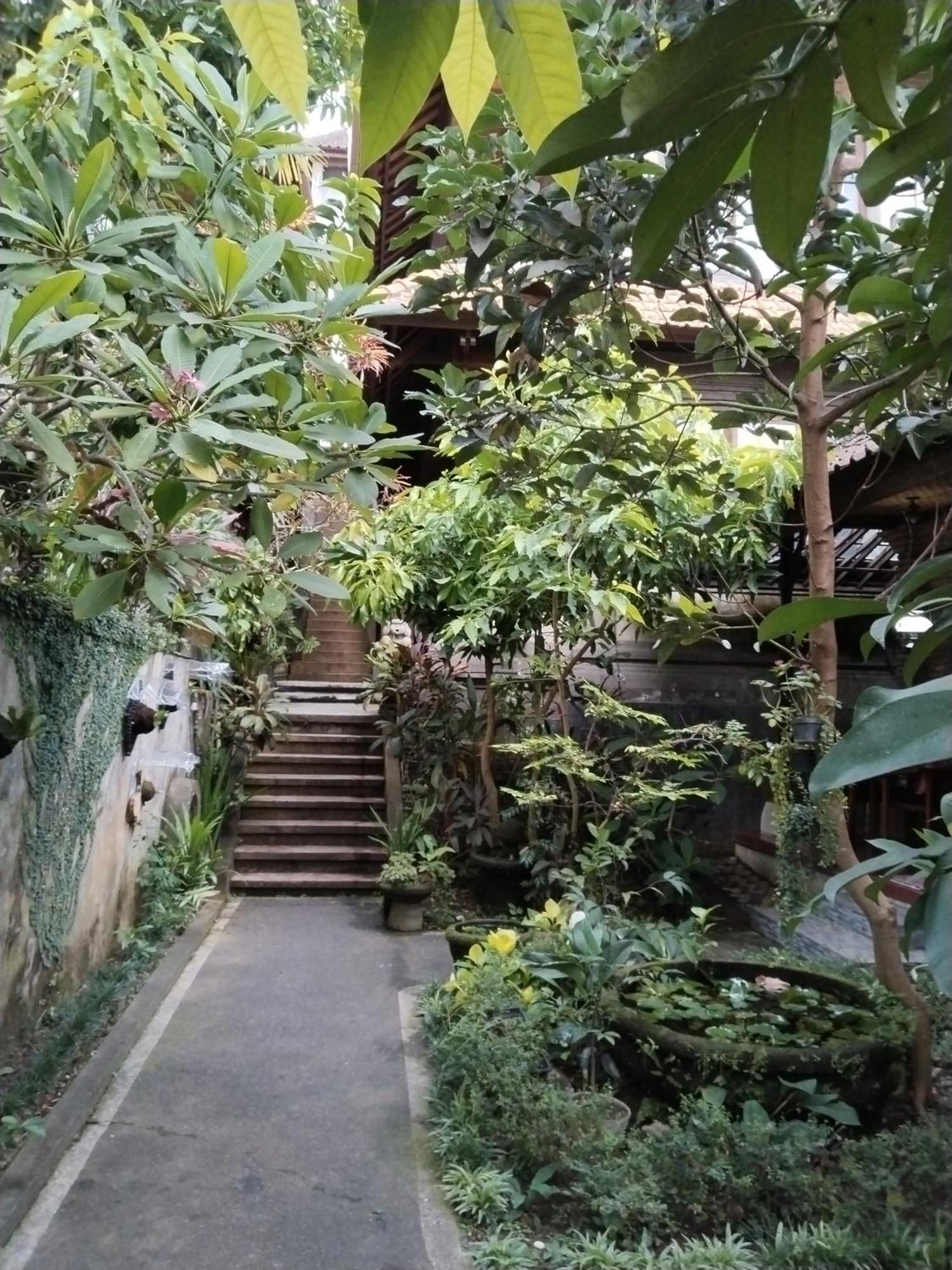 Dewa Wisma tamu Ubud (Bali)