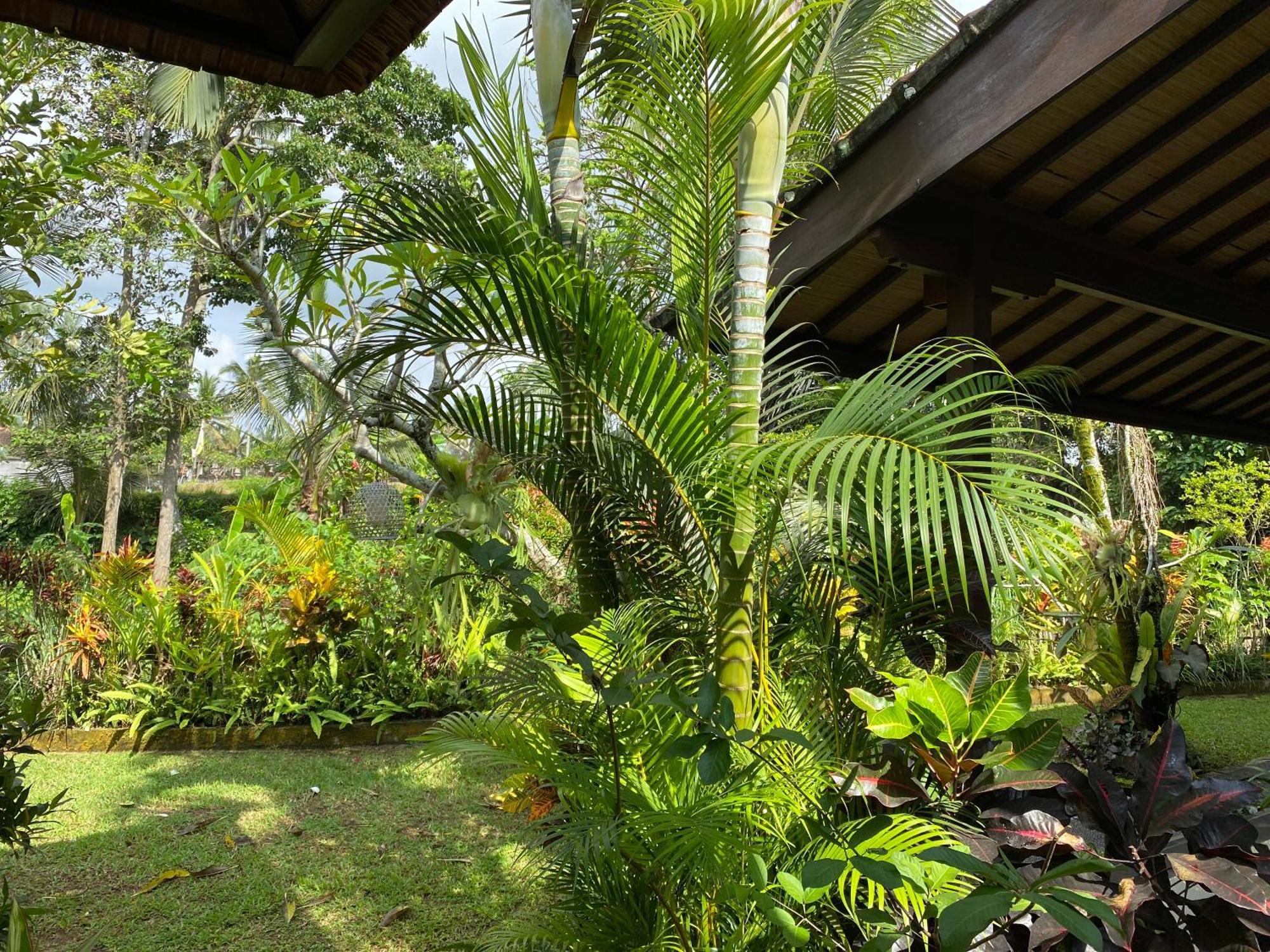 Alam Surya Villa *