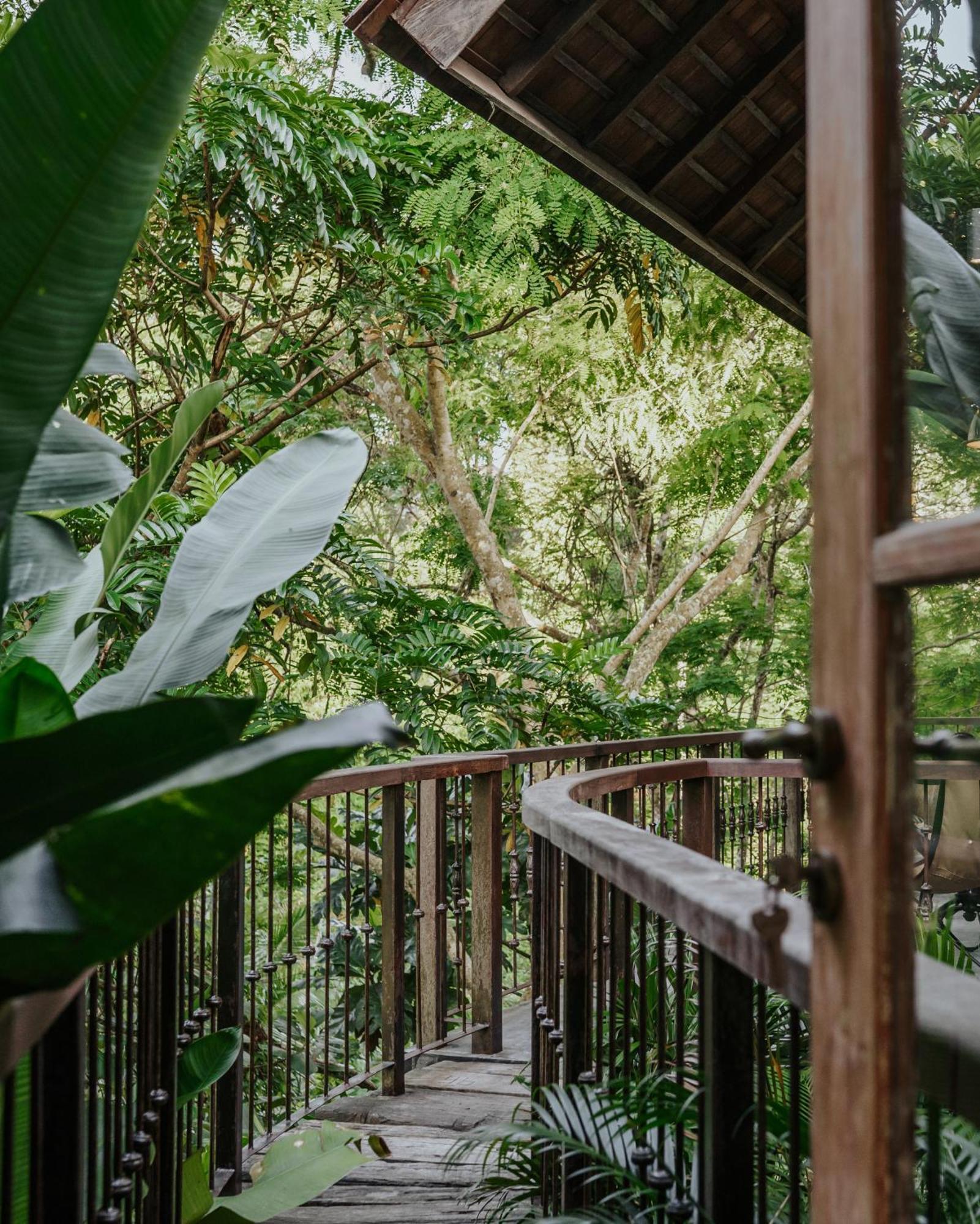Bedulu Cliff Estate Complex Villa