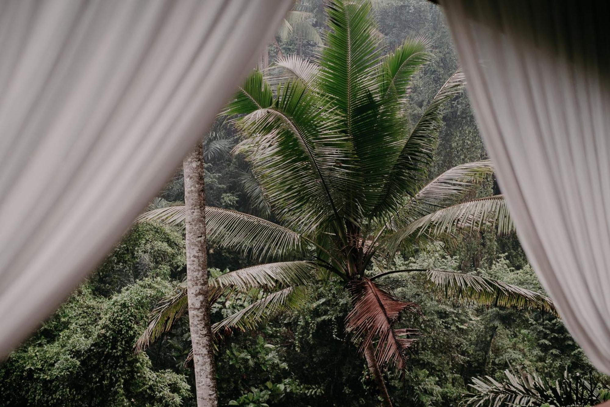 Bedulu Cliff Estate - Wood Side Ubud (Bali)