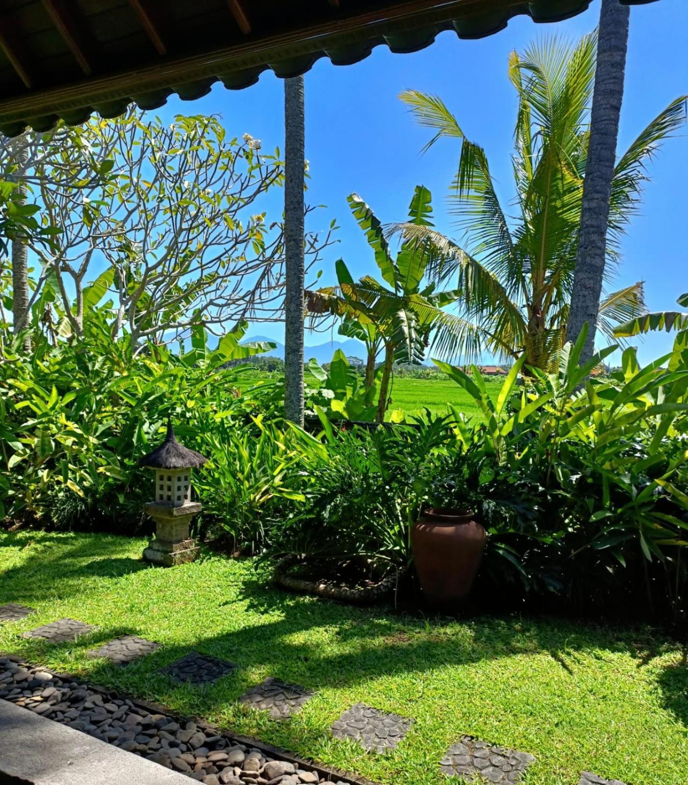 Runa House Of Design Bed & Breakfast