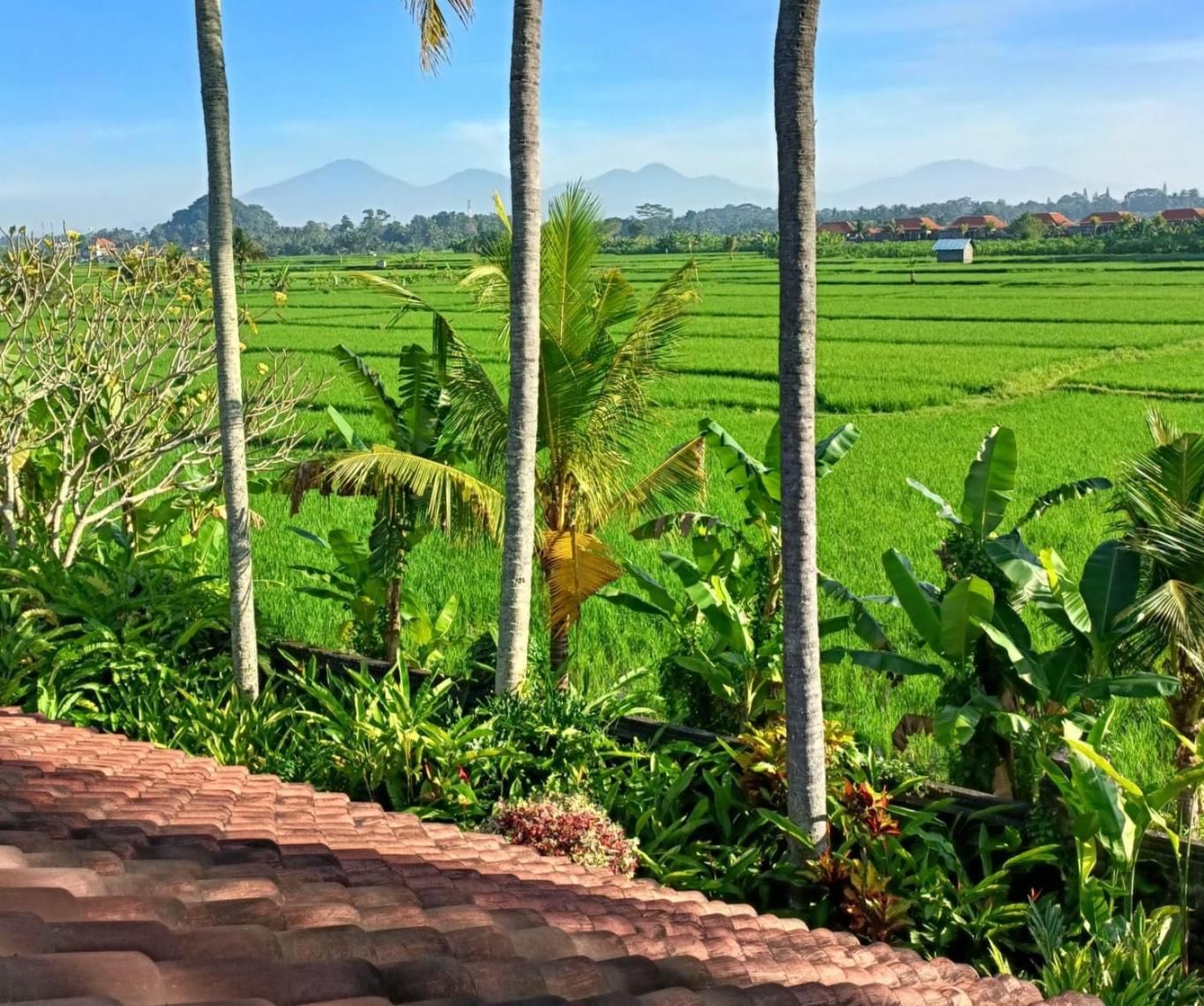 Runa House Of Design Ubud (Bali)