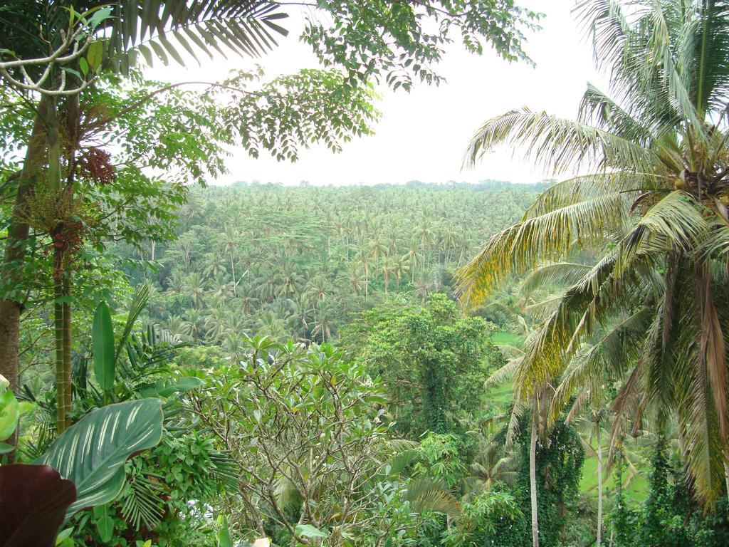 Sayan Terrace Resort Ubud (Bali)