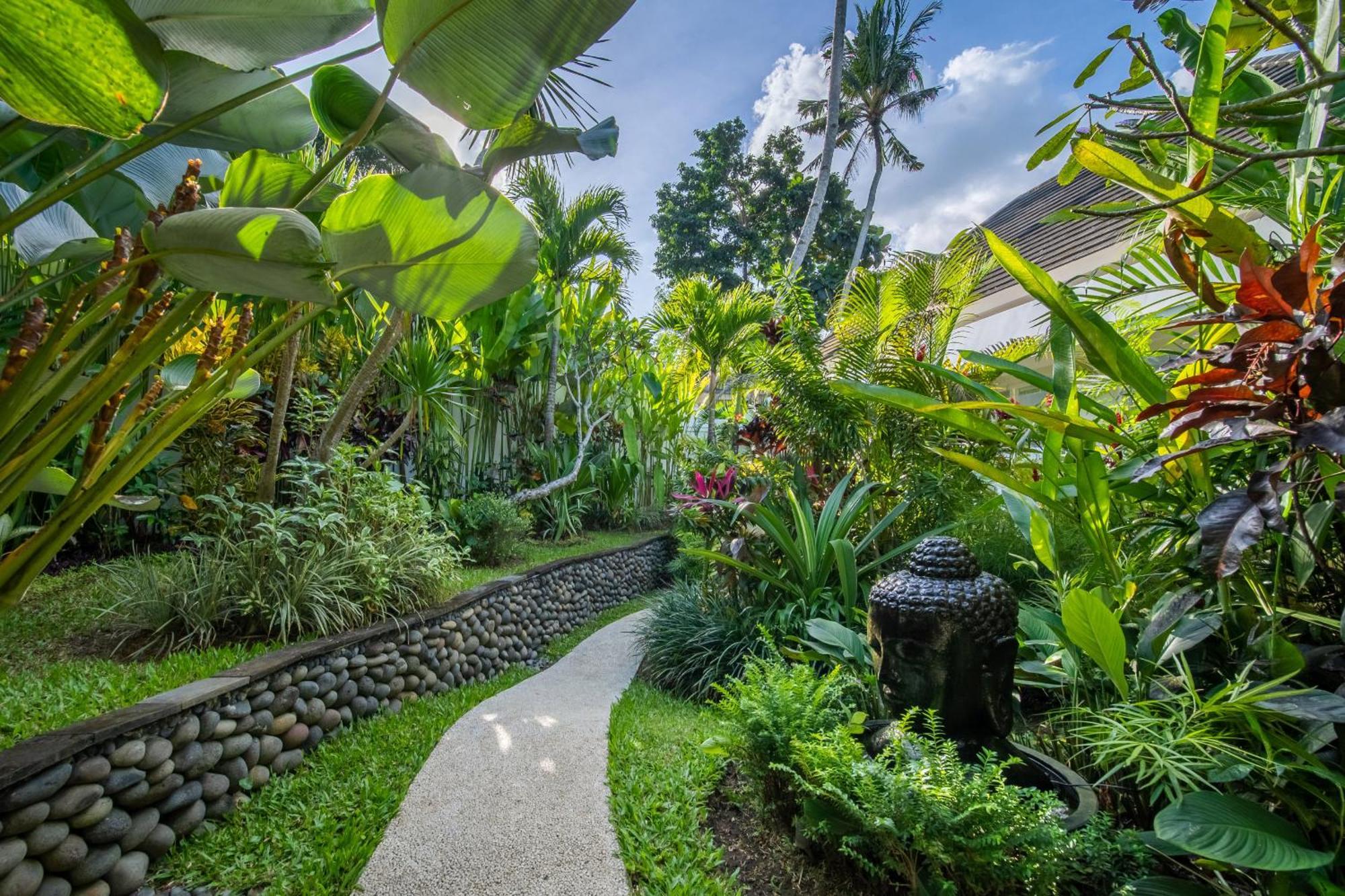 Jacques * Ubud