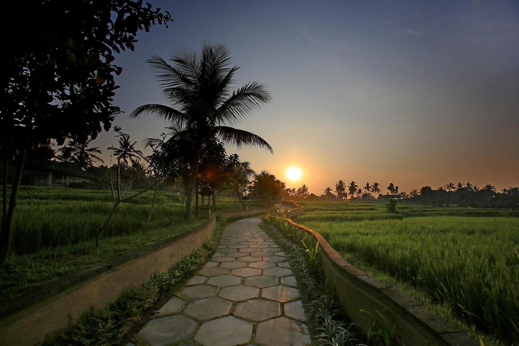 Wapa Di Ume 4* Ubud