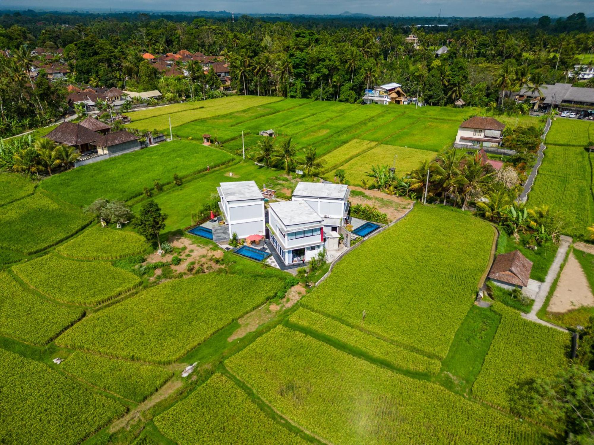 Maple Ridge Ubud