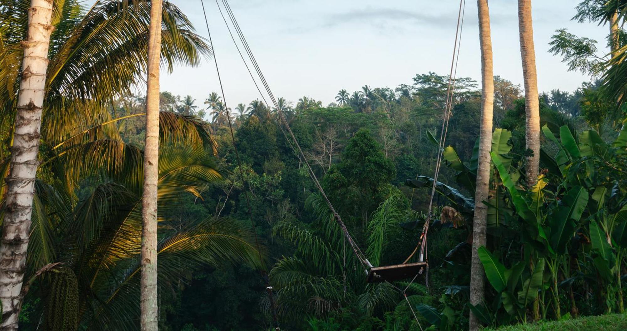 Resort Bobocabin Ubud, Bali *