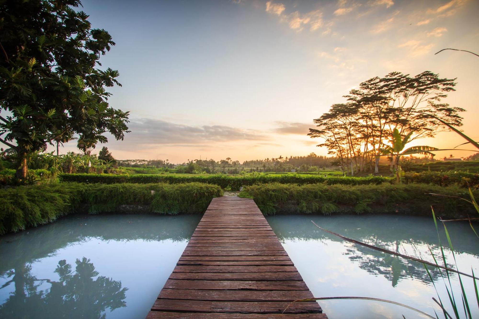 Griya Kcb Ubud (Bali)