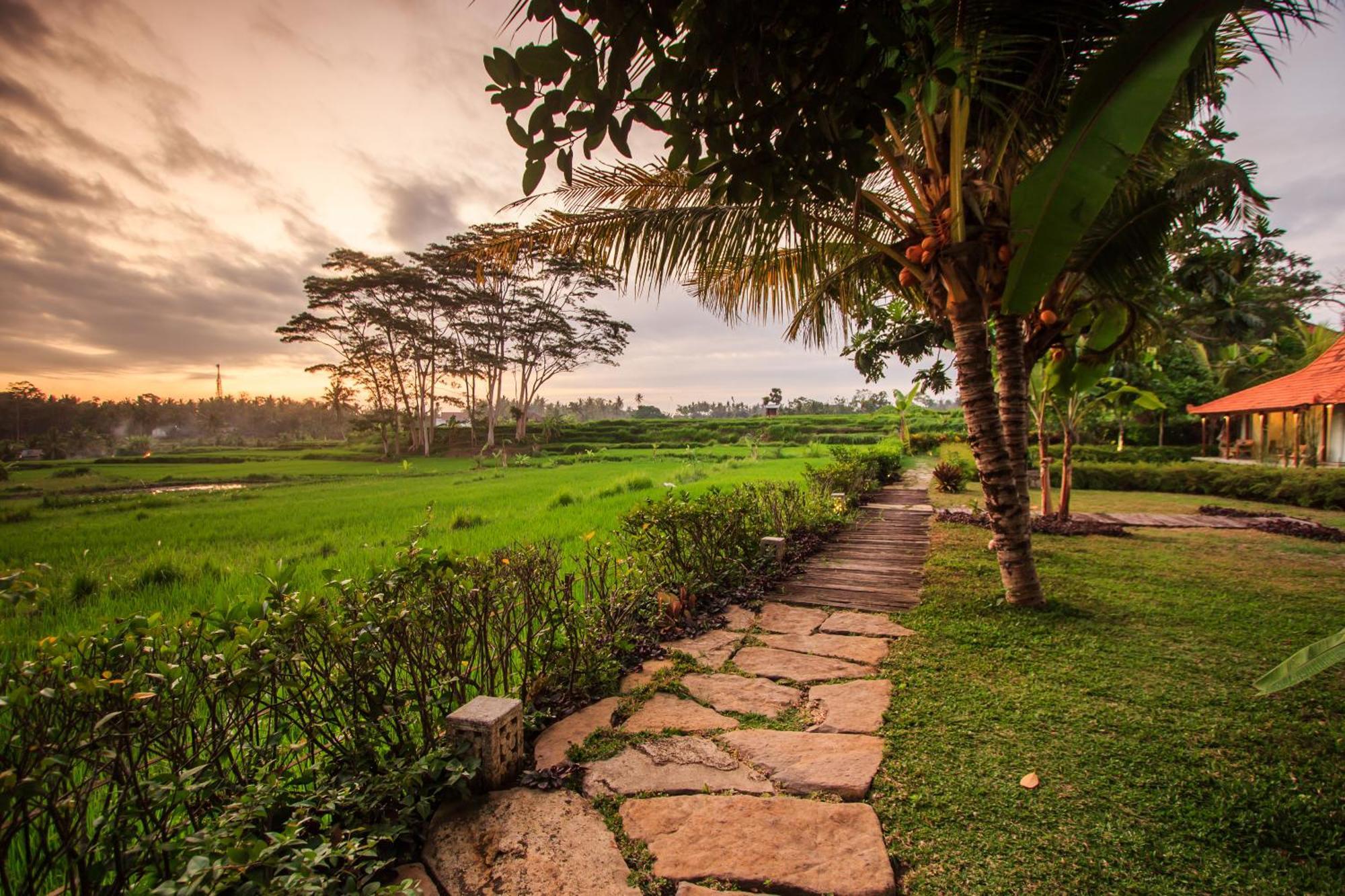 Griya Kcb Hotel Ubud (Bali)