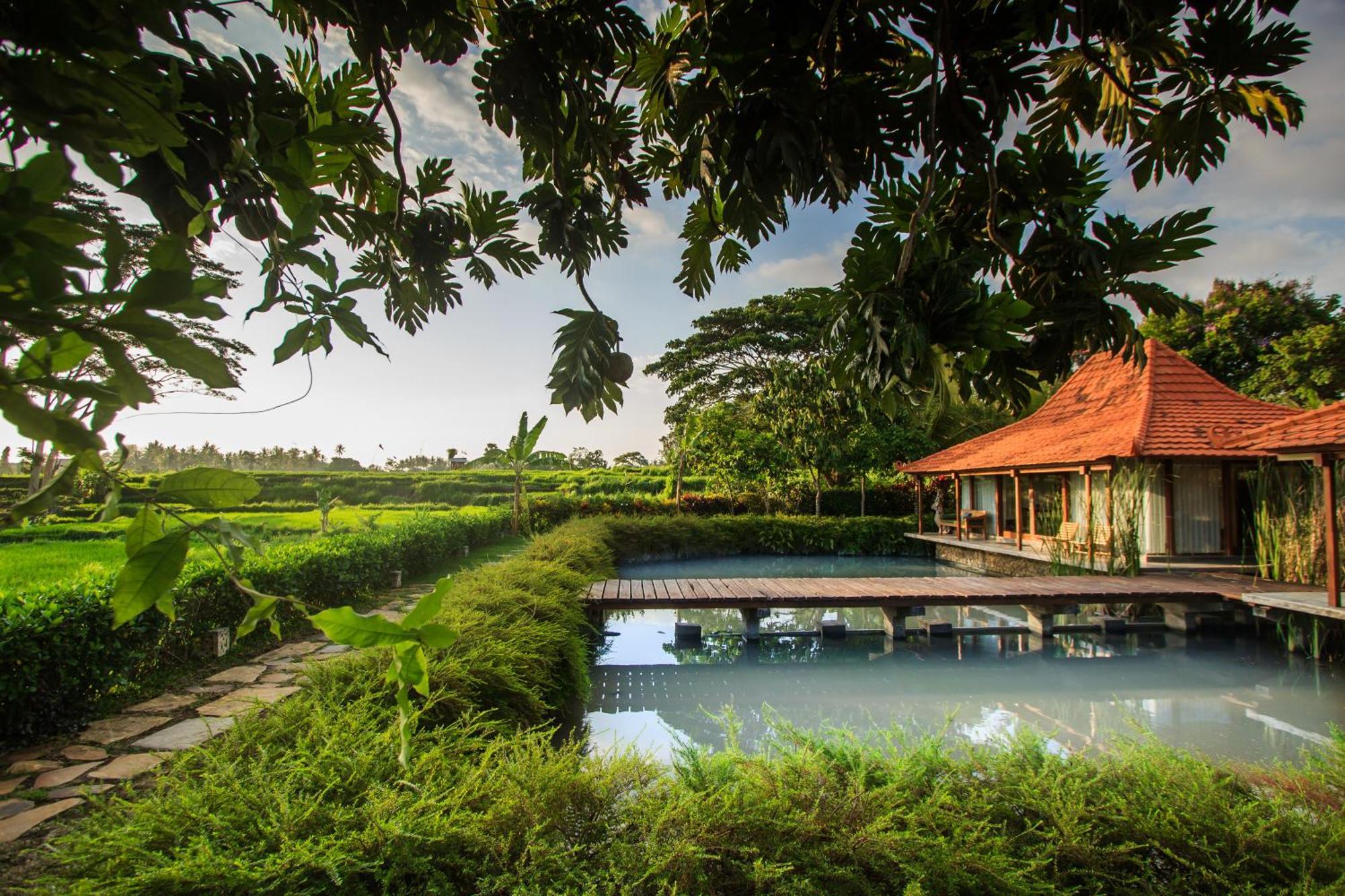 Griya Kcb Hotel Ubud (Bali)