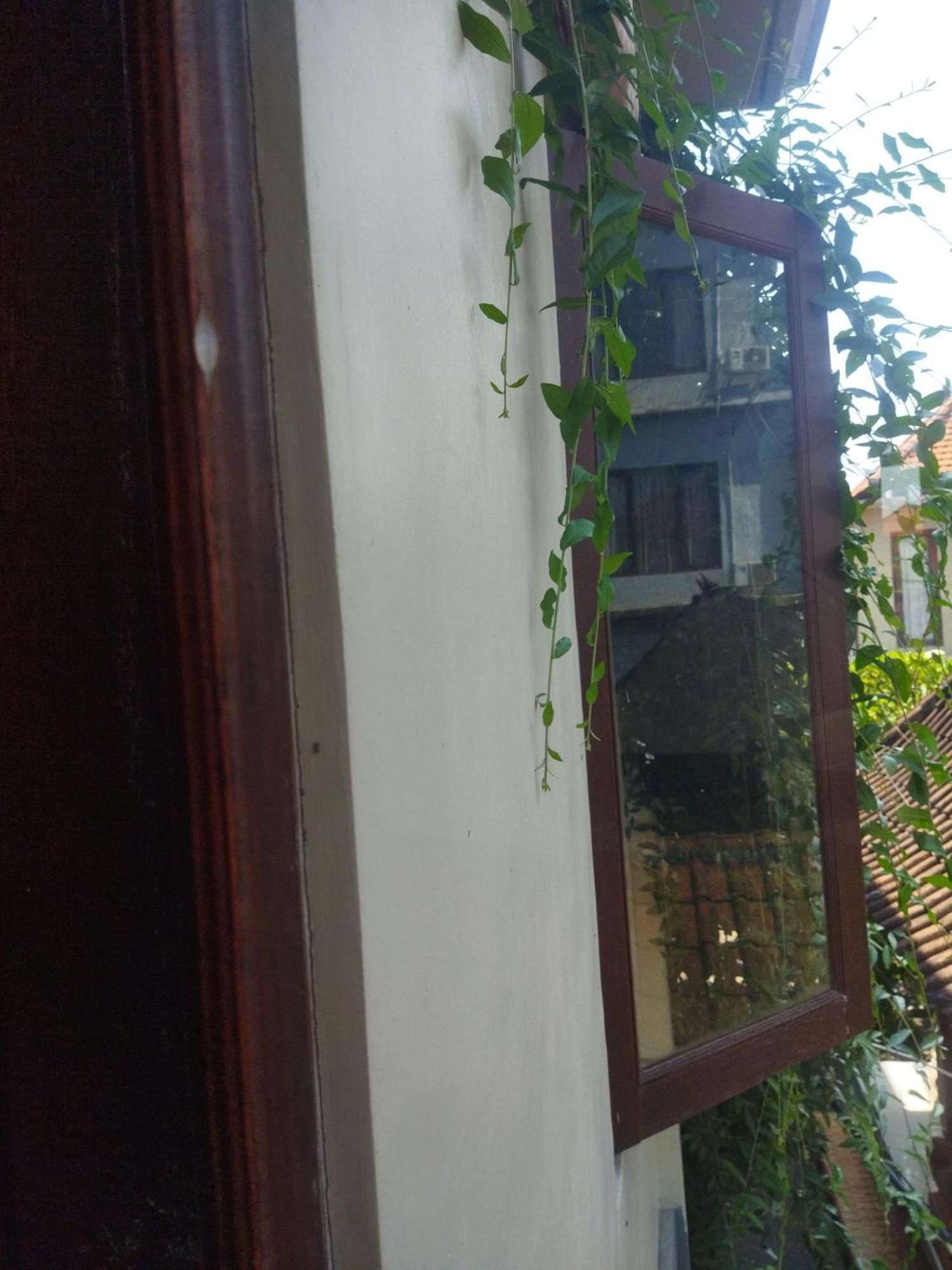 Wahwik's House Wisma tamu Ubud (Bali)