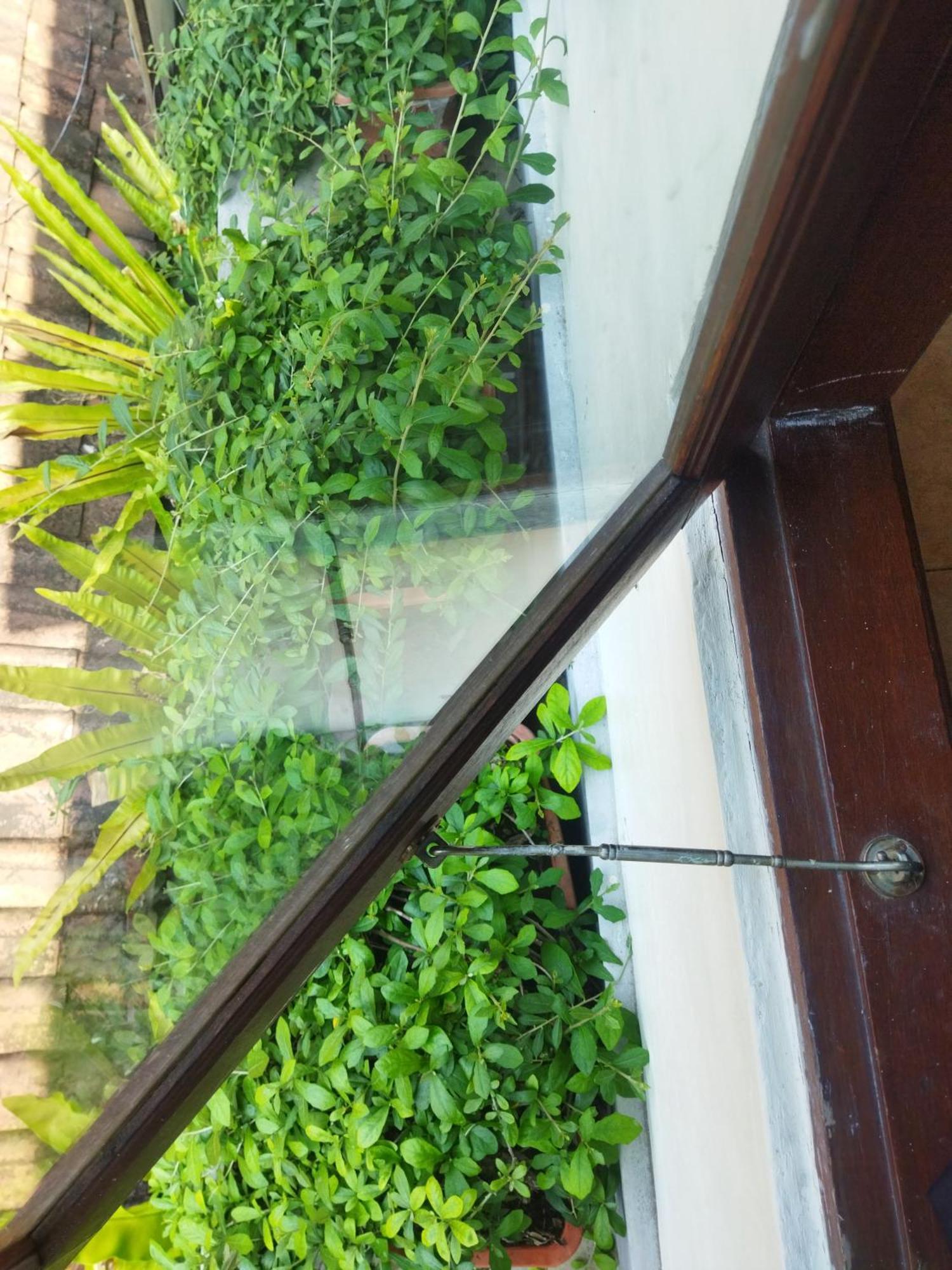 Wisma tamu Wahwik's House Ubud (Bali)