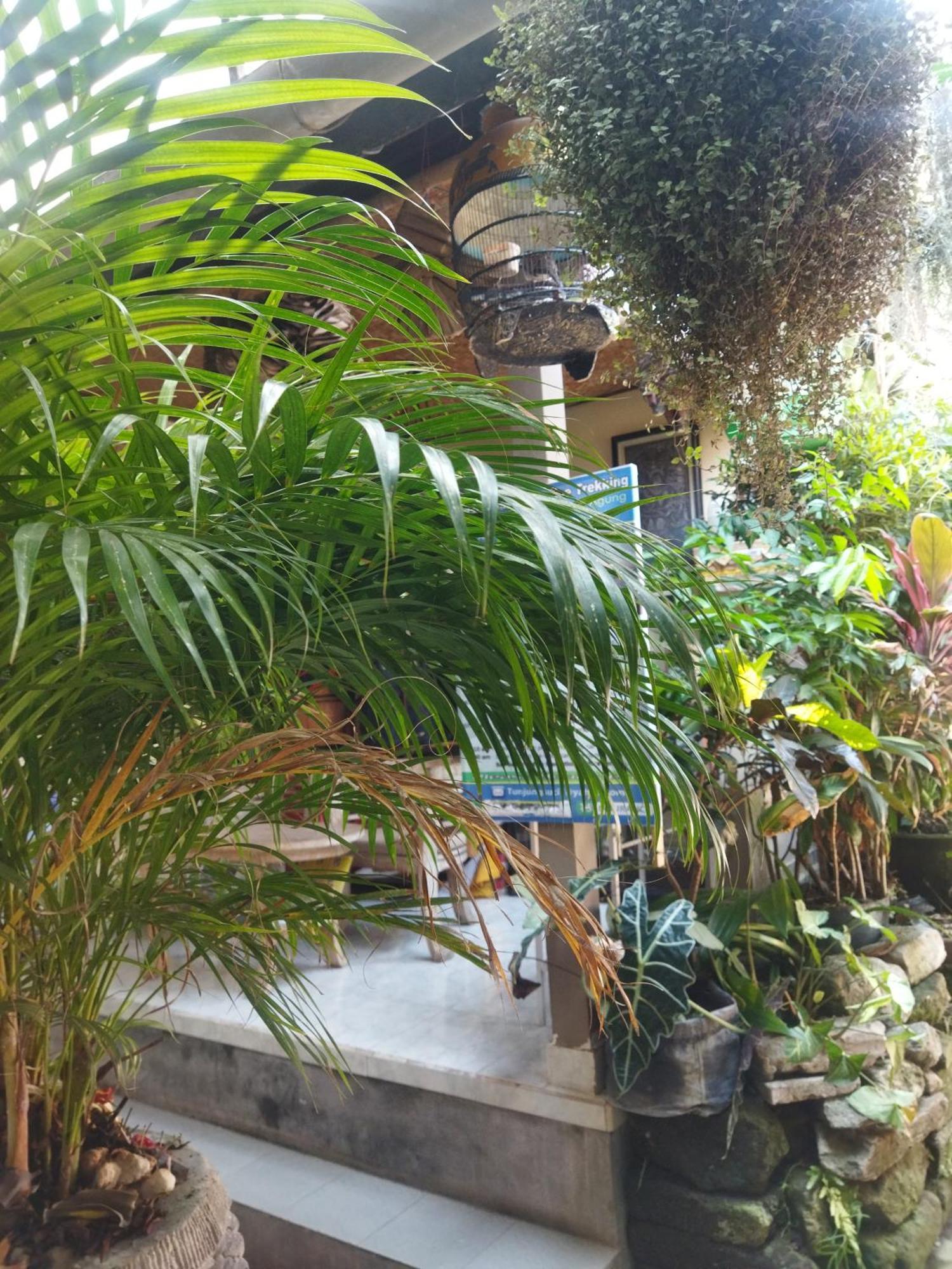 Wisma tamu Wahwik's House Ubud (Bali)