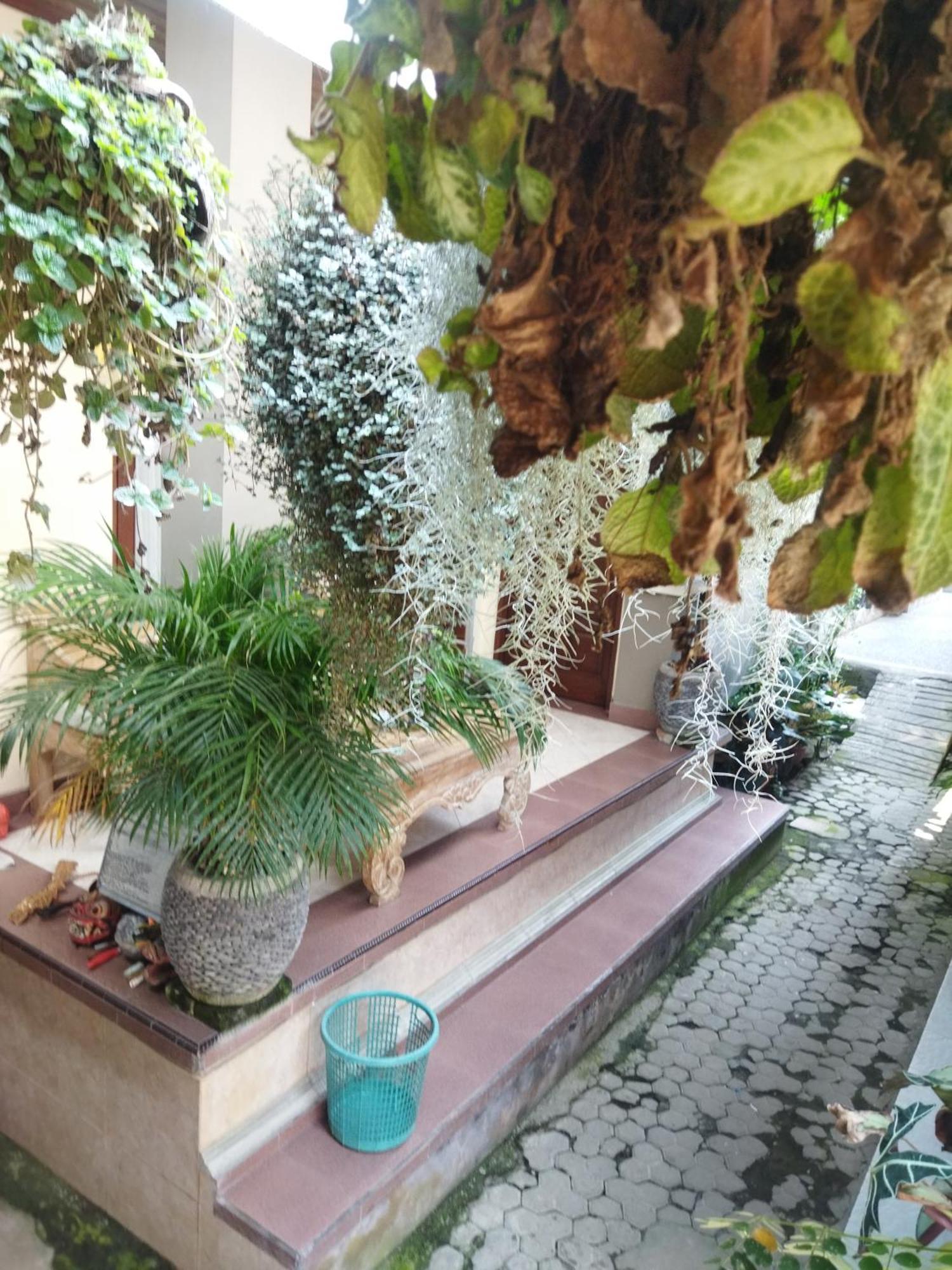 Wahwik's House 2* Ubud (Bali)