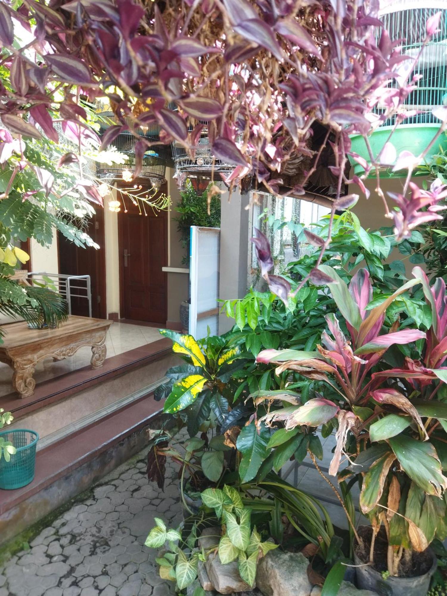 Wahwik's House 2* Ubud (Bali)