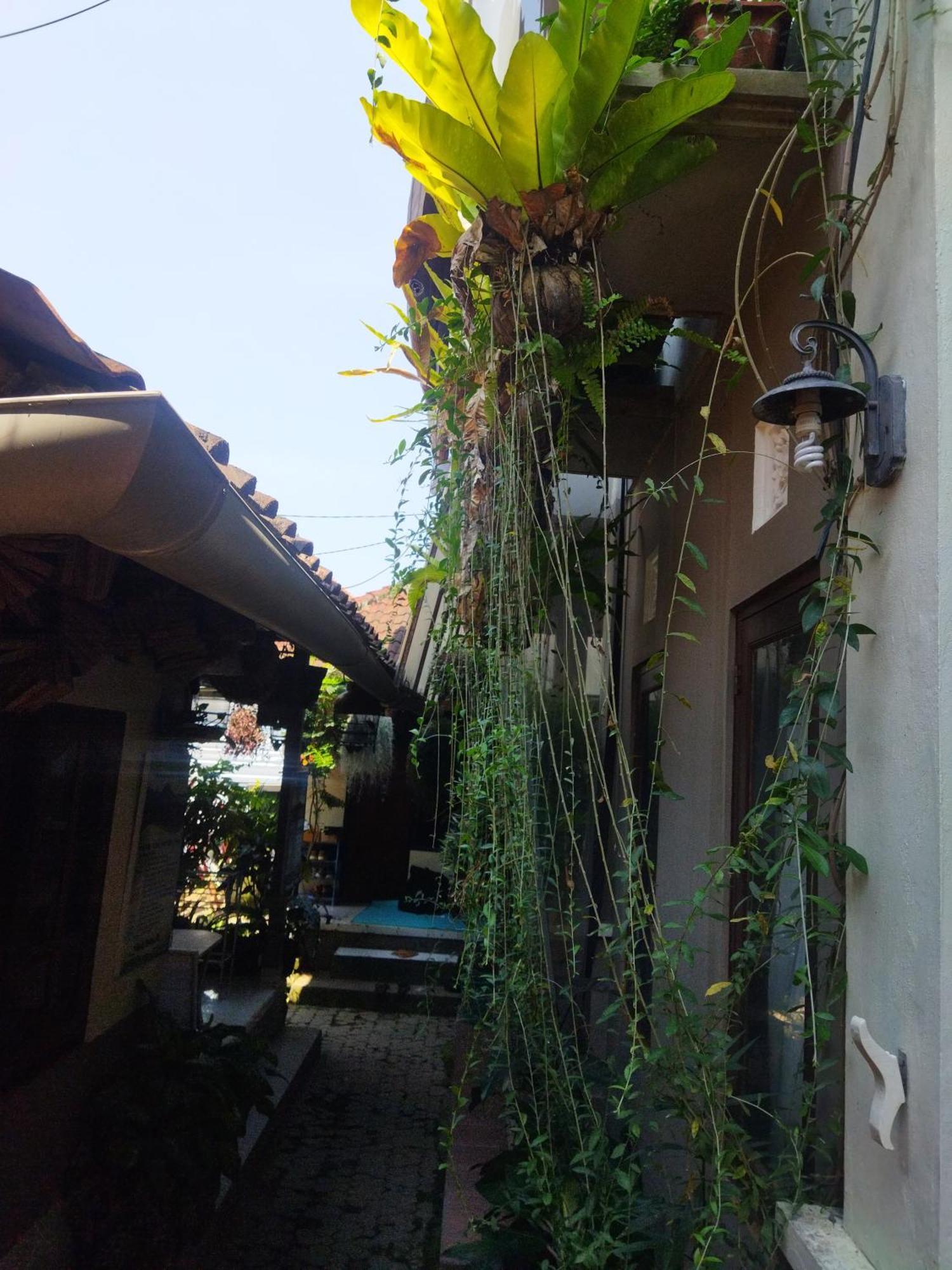 Wahwik's House 2*