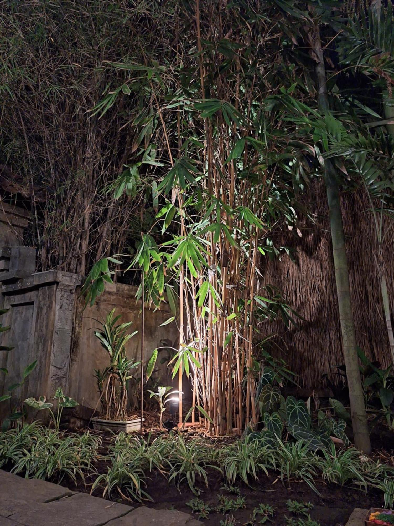 Kasapa Ubud