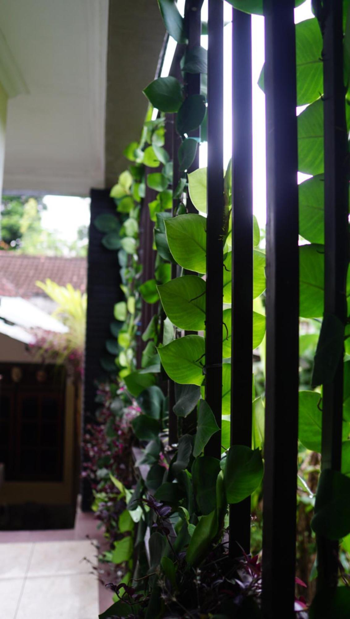 Wahwik's House