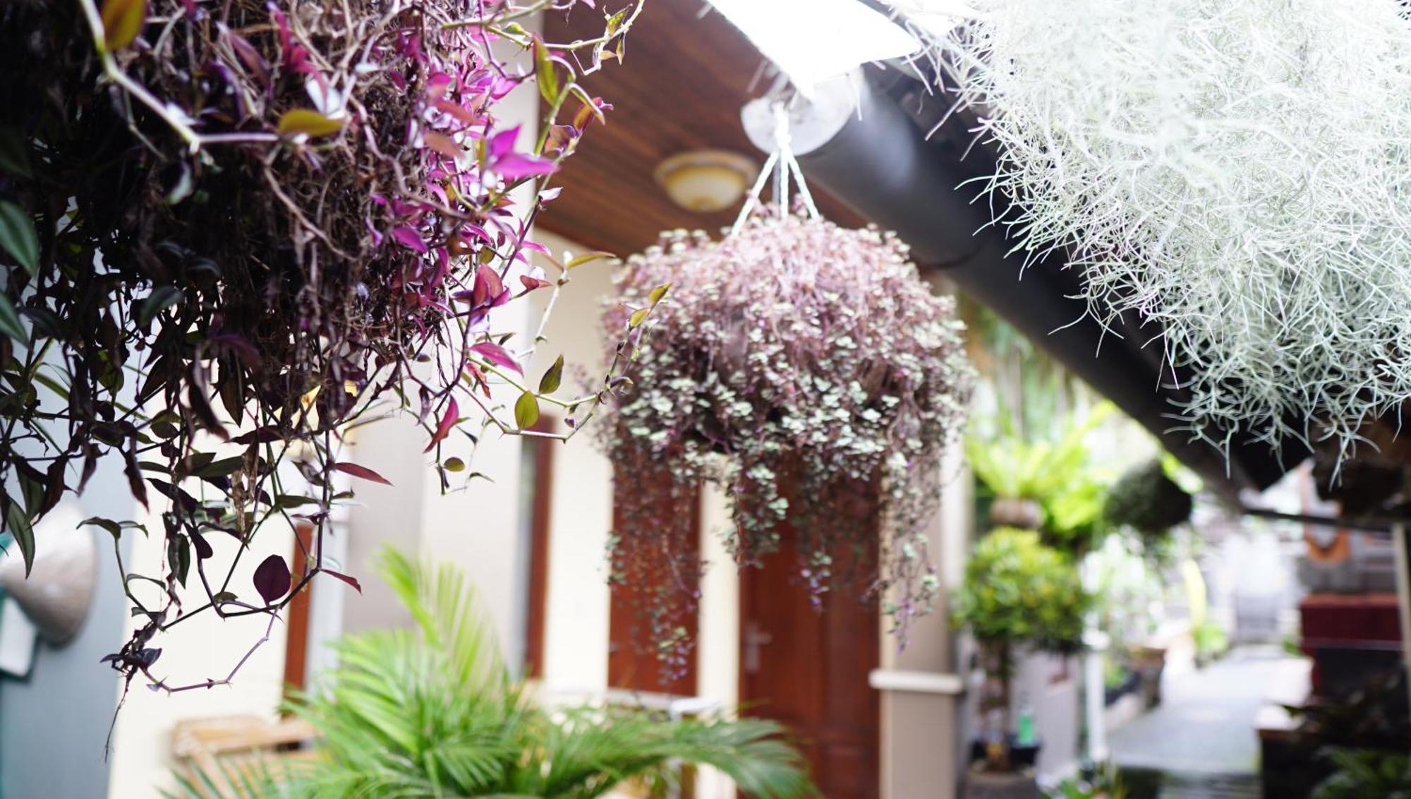Wisma tamu Wahwik's House