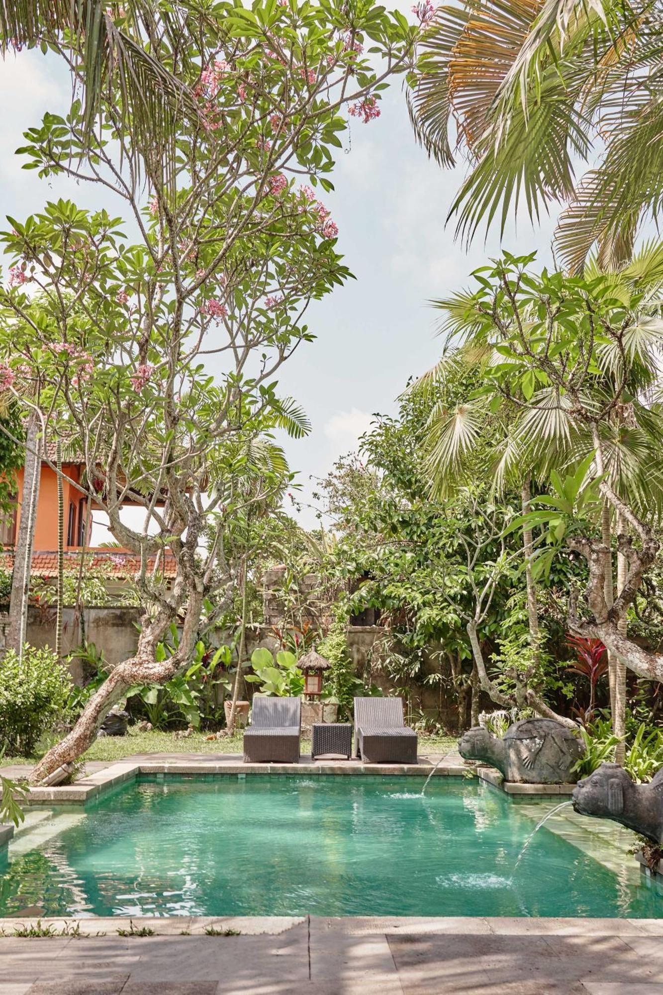 Country house The Pause - Soca 1 Ubud (Bali)