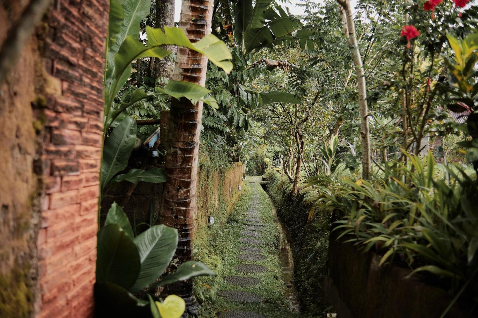 Villa Moringa