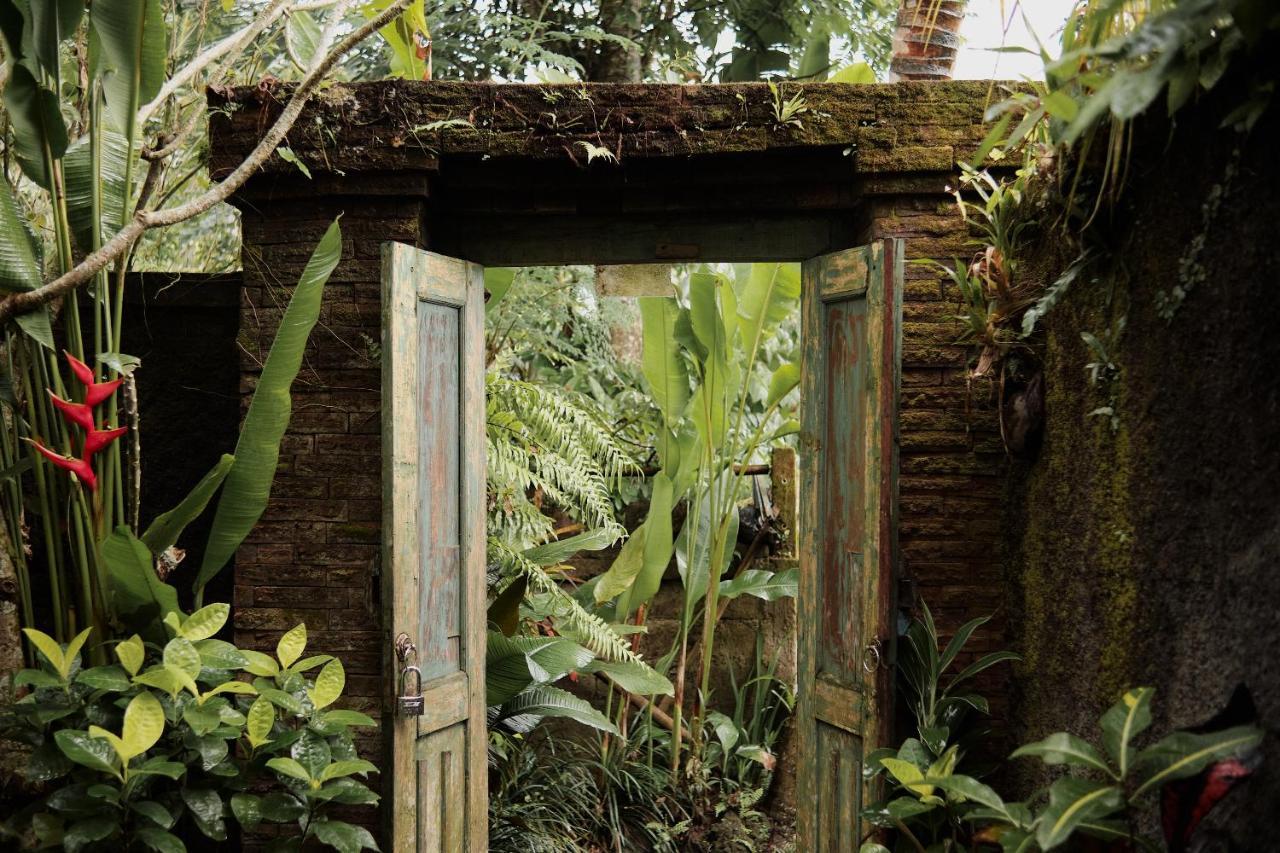 Villa Moringa *