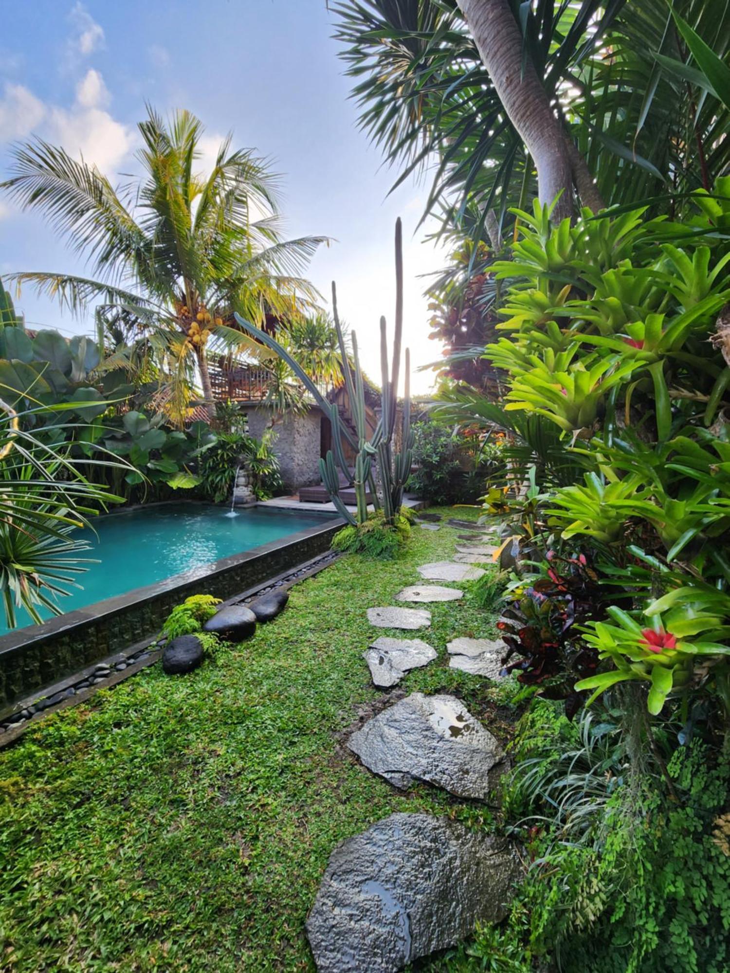 Guest house Buda Amitaba