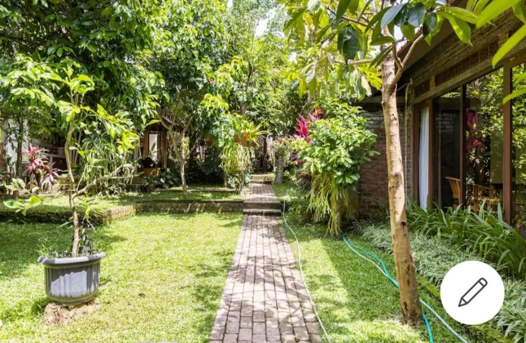 Ary House Guest house
