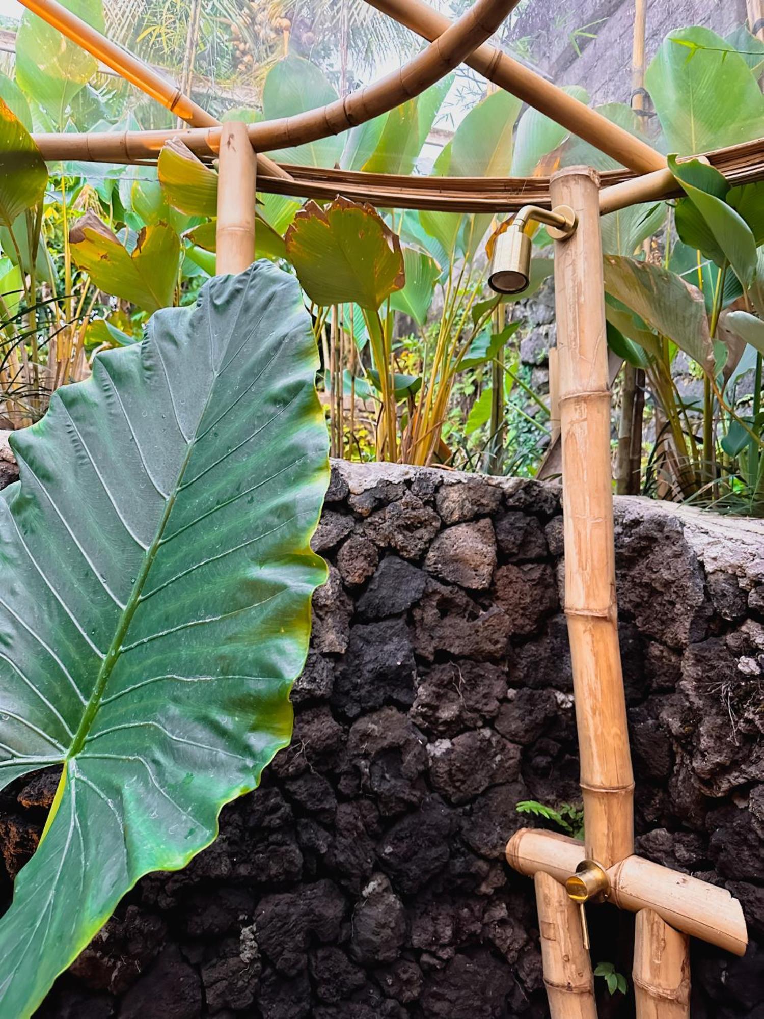 Tapak perkhemahan Wahem Eco Bamboo Ubud (Bali)