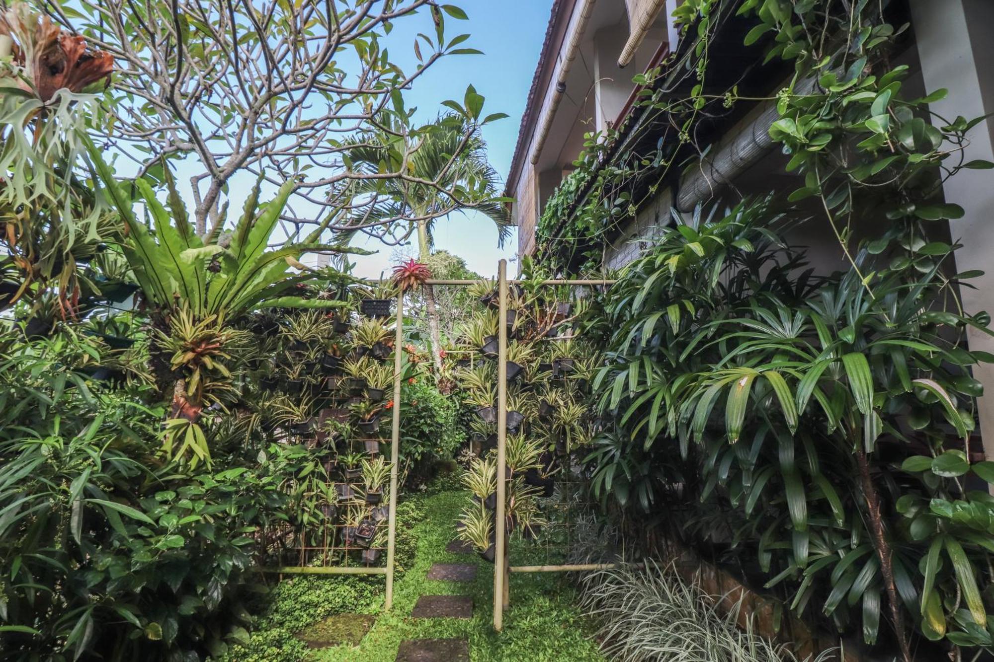 Rumah Taman 3* Ubud (Bali)