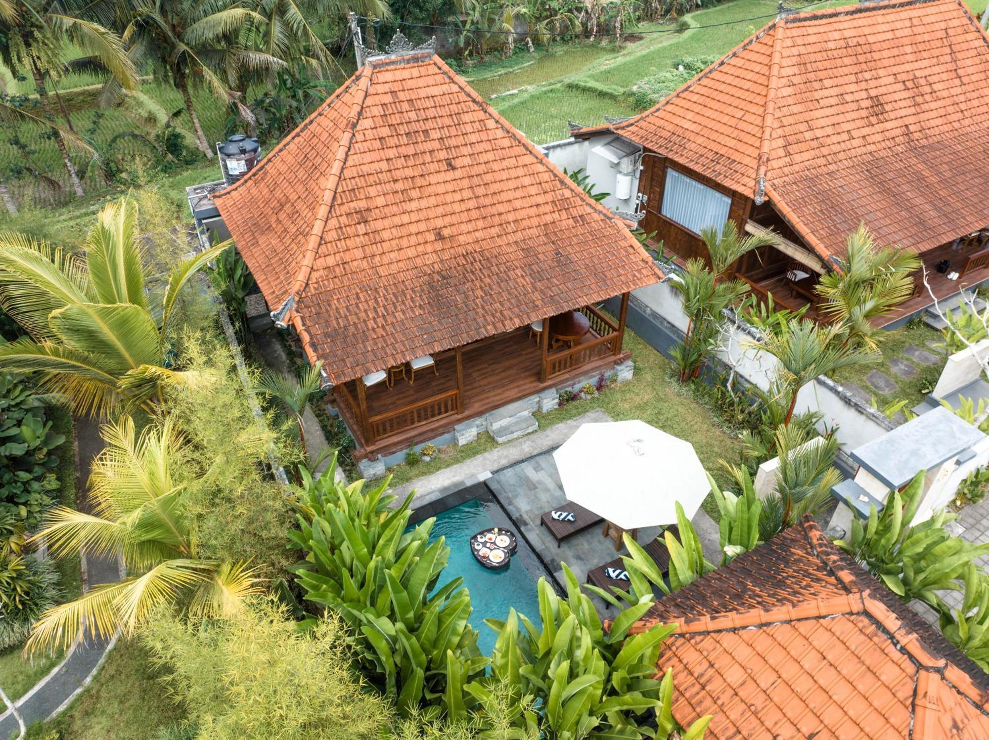 Meng Bengil * Ubud