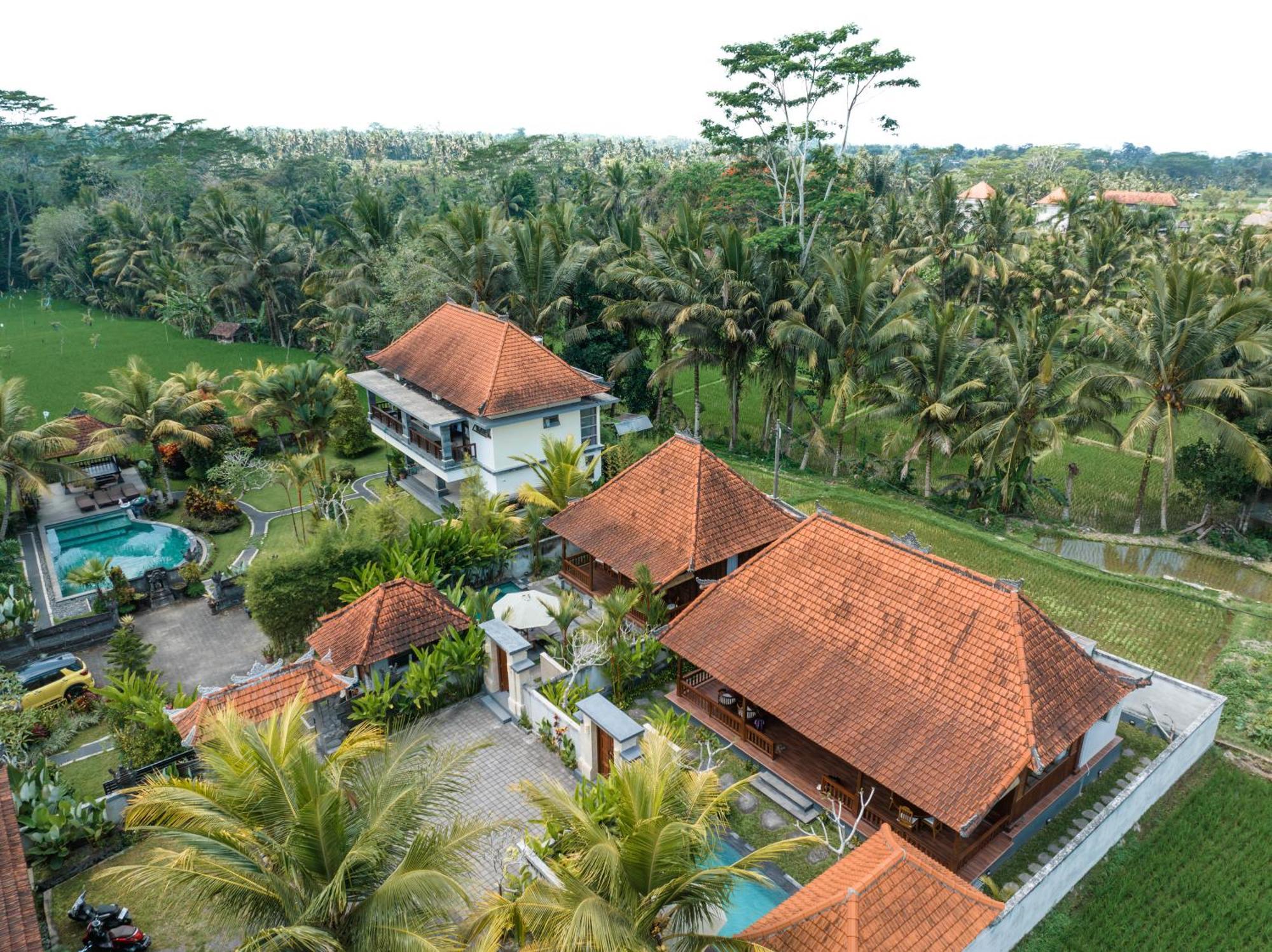 Meng Bengil * Ubud