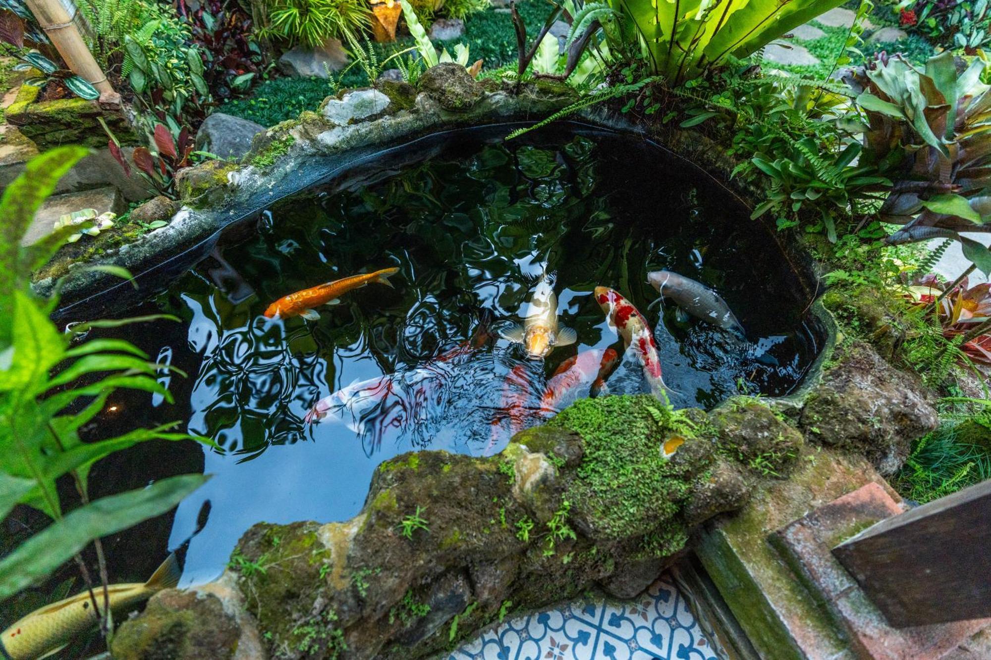 Pousada Pranawa Ubud