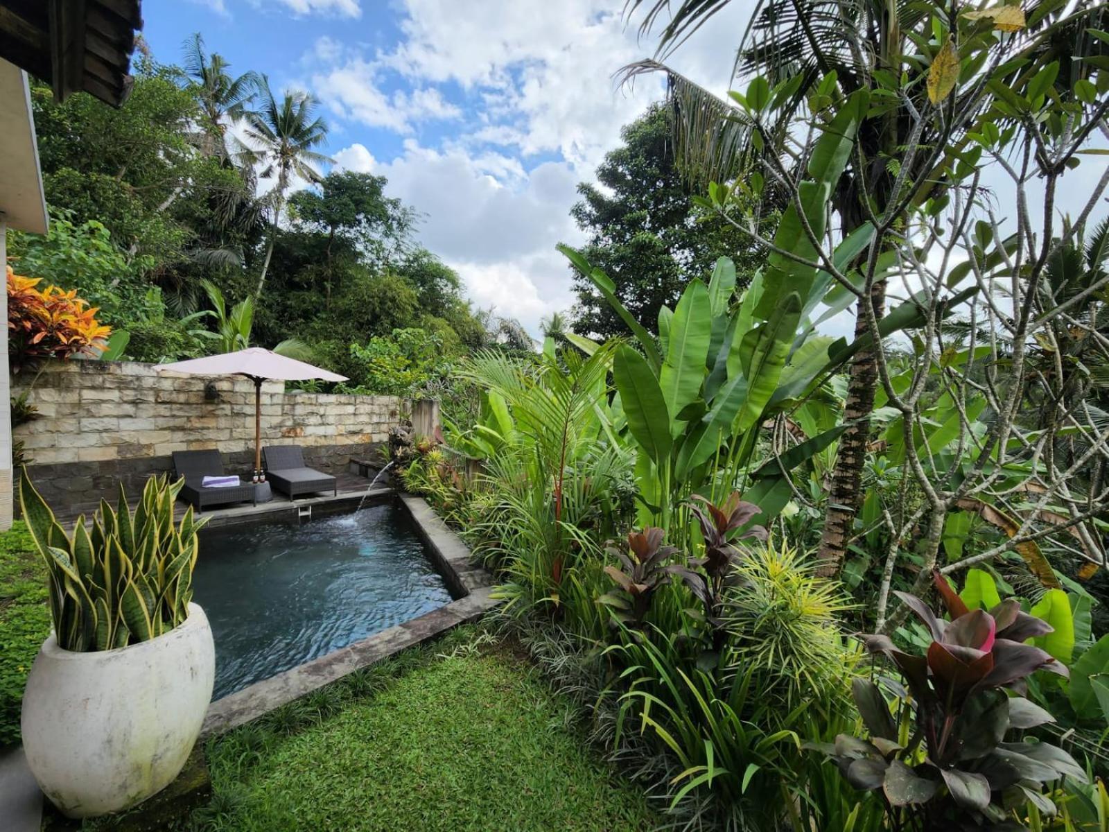 Taluh Bebek Private Ubud (Bali)