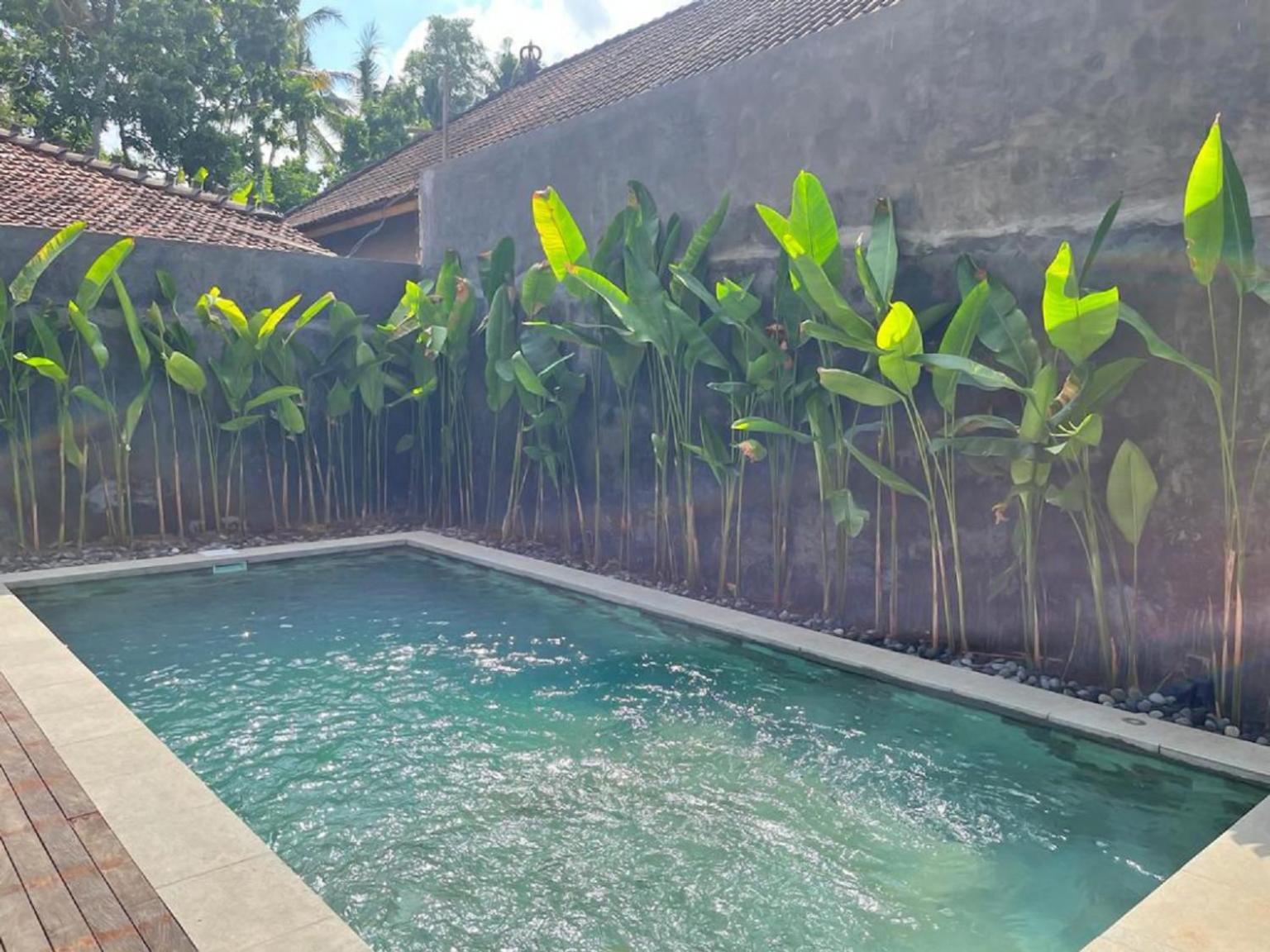 Villa Eka Wood