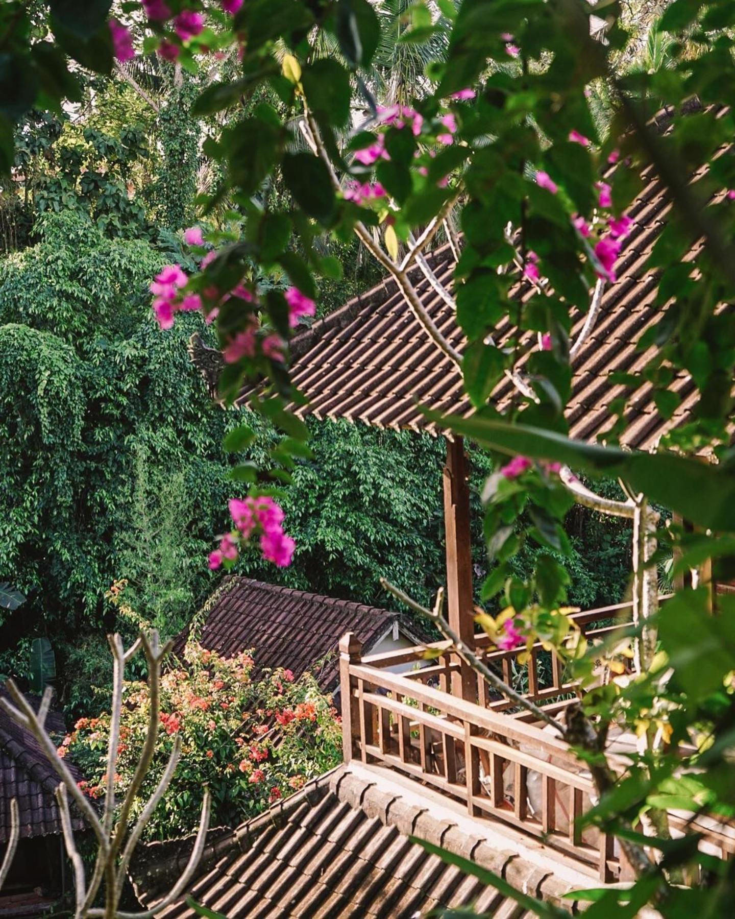 Down The Rabbit Hole Ubud (Bali)