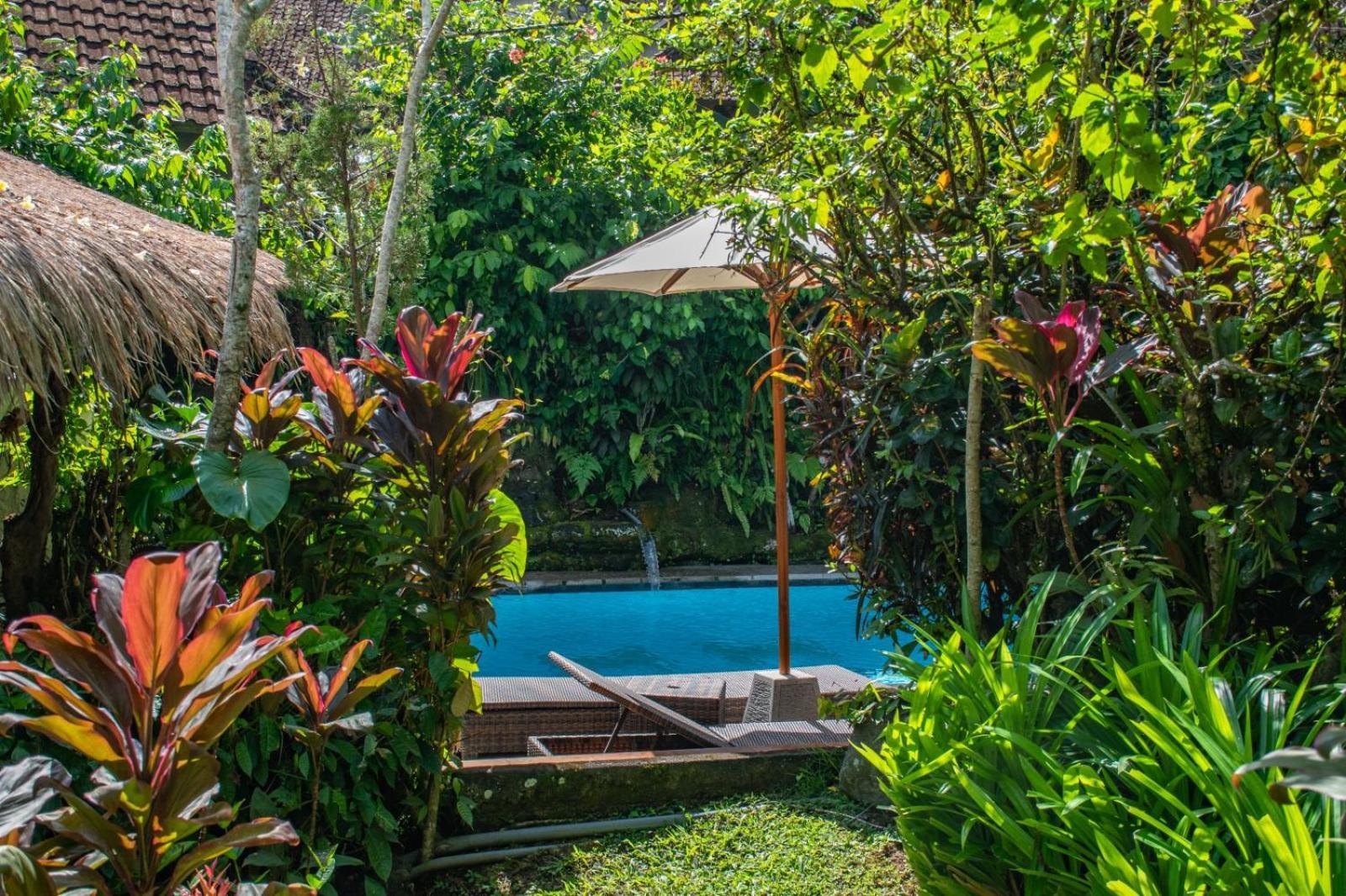 Down The Rabbit Hole Homestay