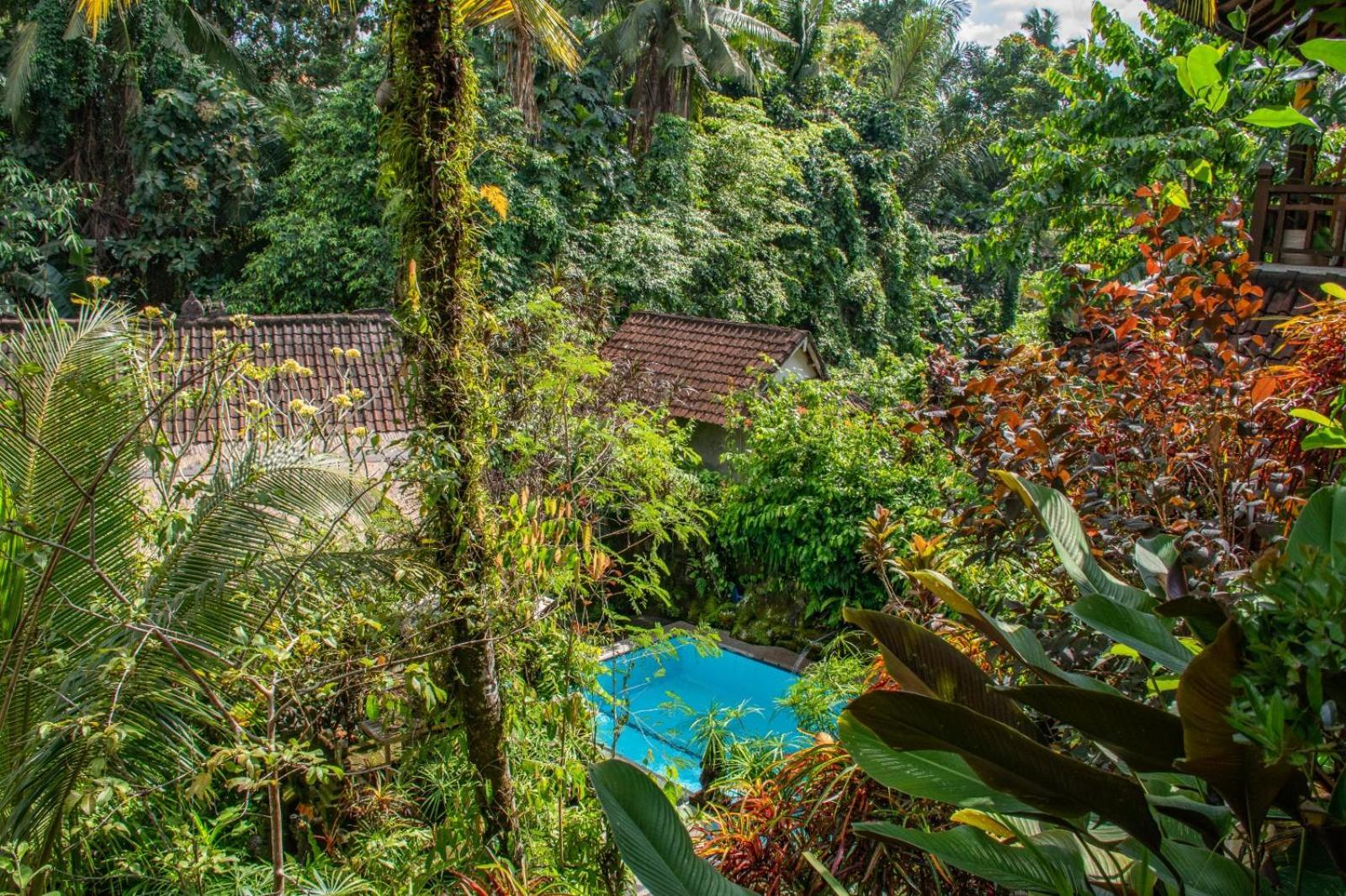 Down The Rabbit Hole Homestay