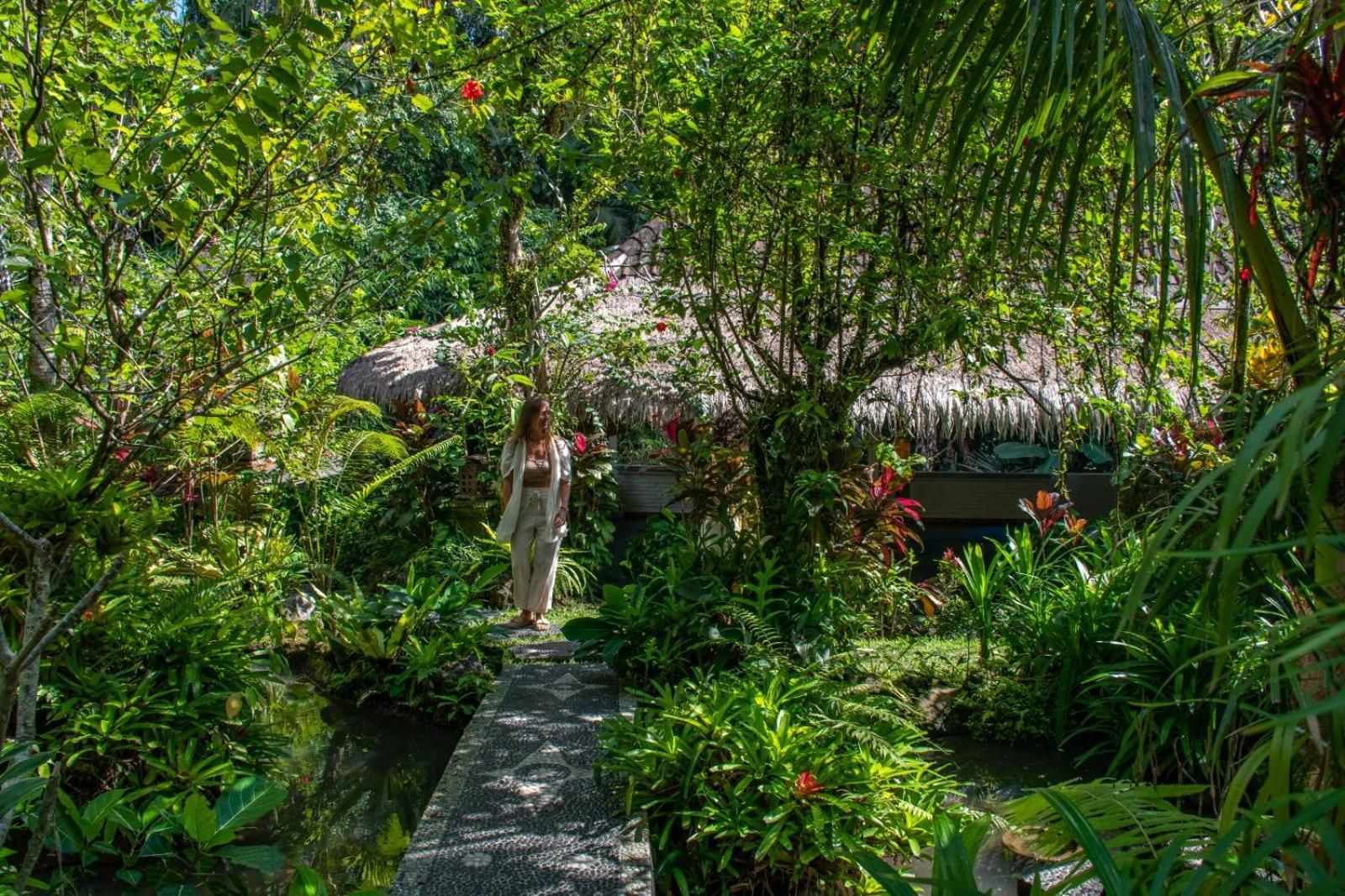 Homestay Down The Rabbit Hole