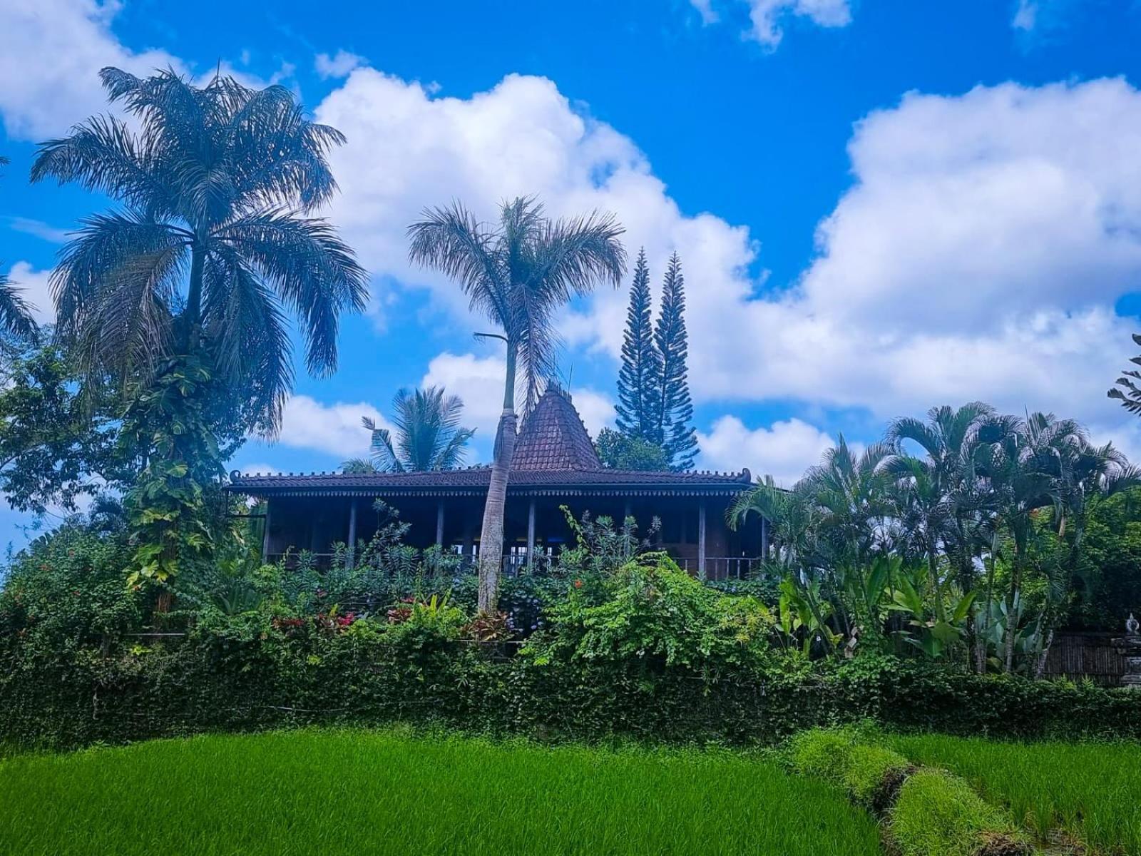 Ayu Dira Heritage House *