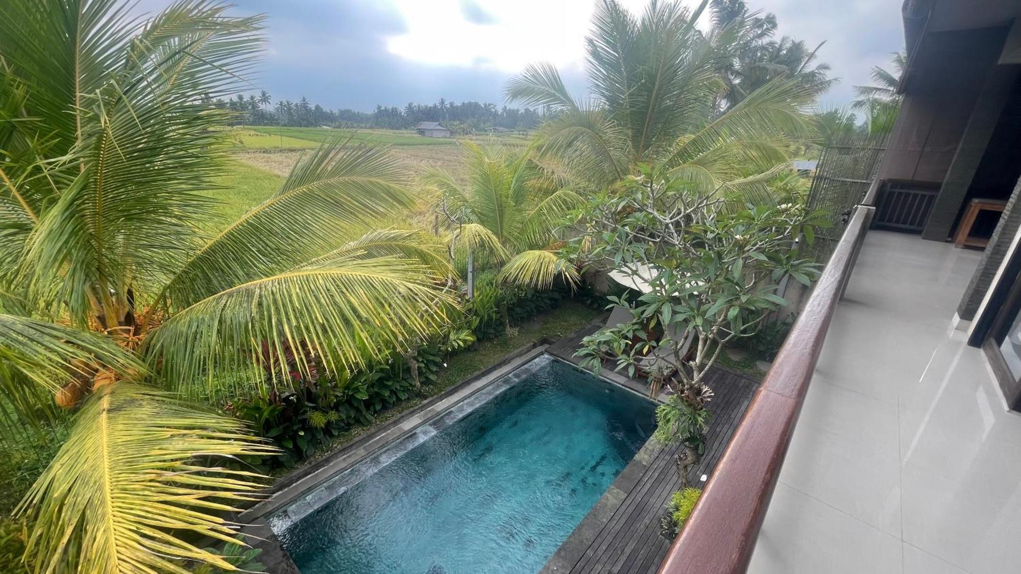 Bayad Anyar - Bali Ubud