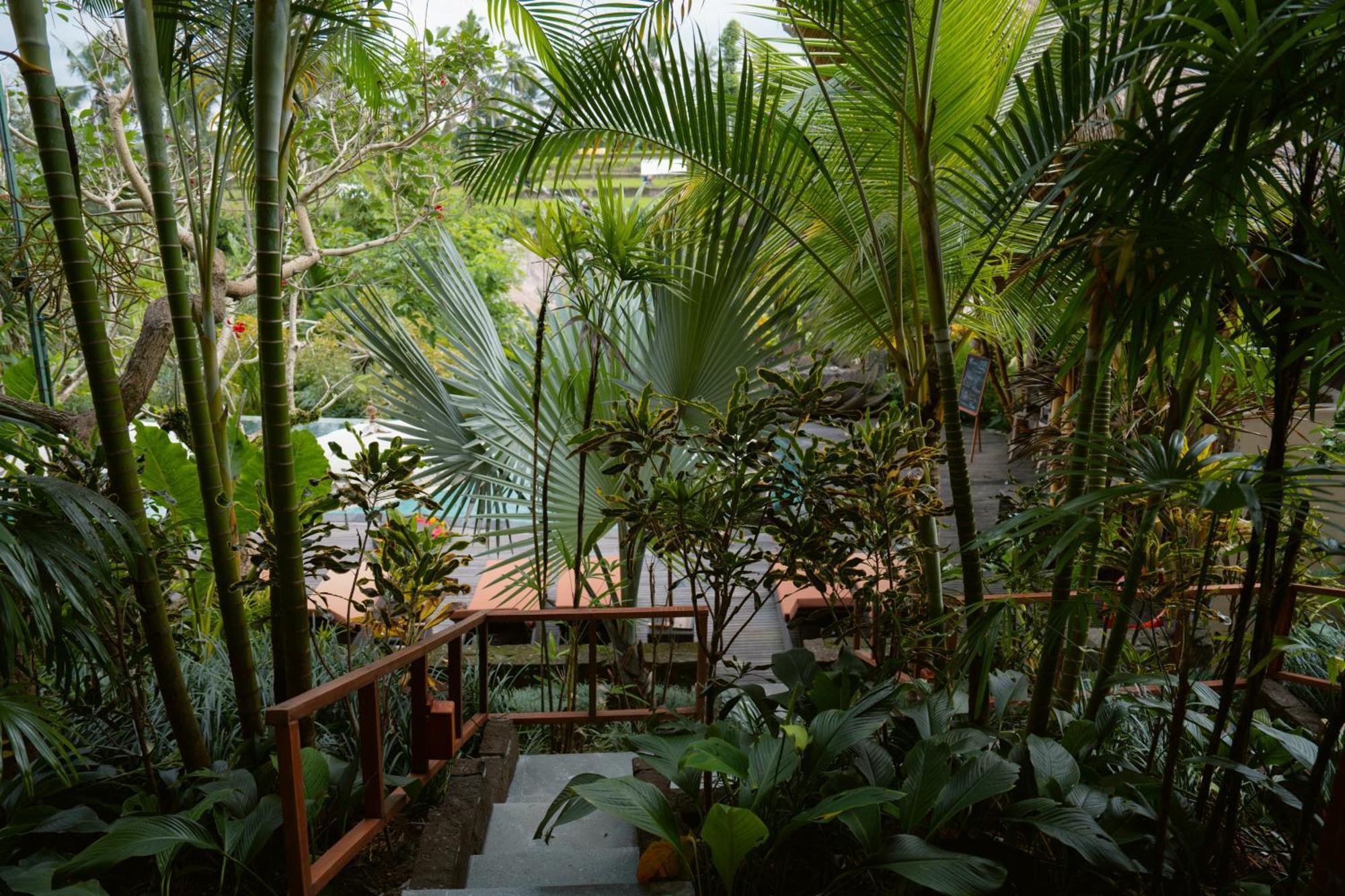 Resor The Sun Of Granary And Ubud (Bali)
