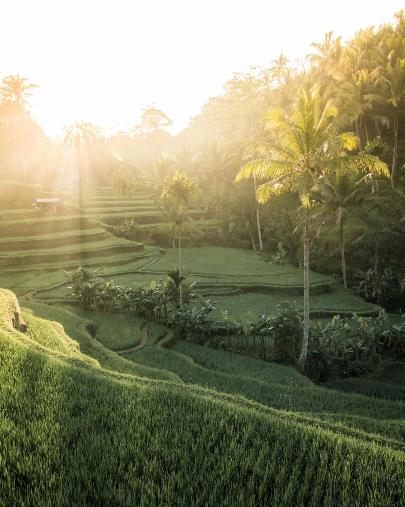 Oia * Ubud