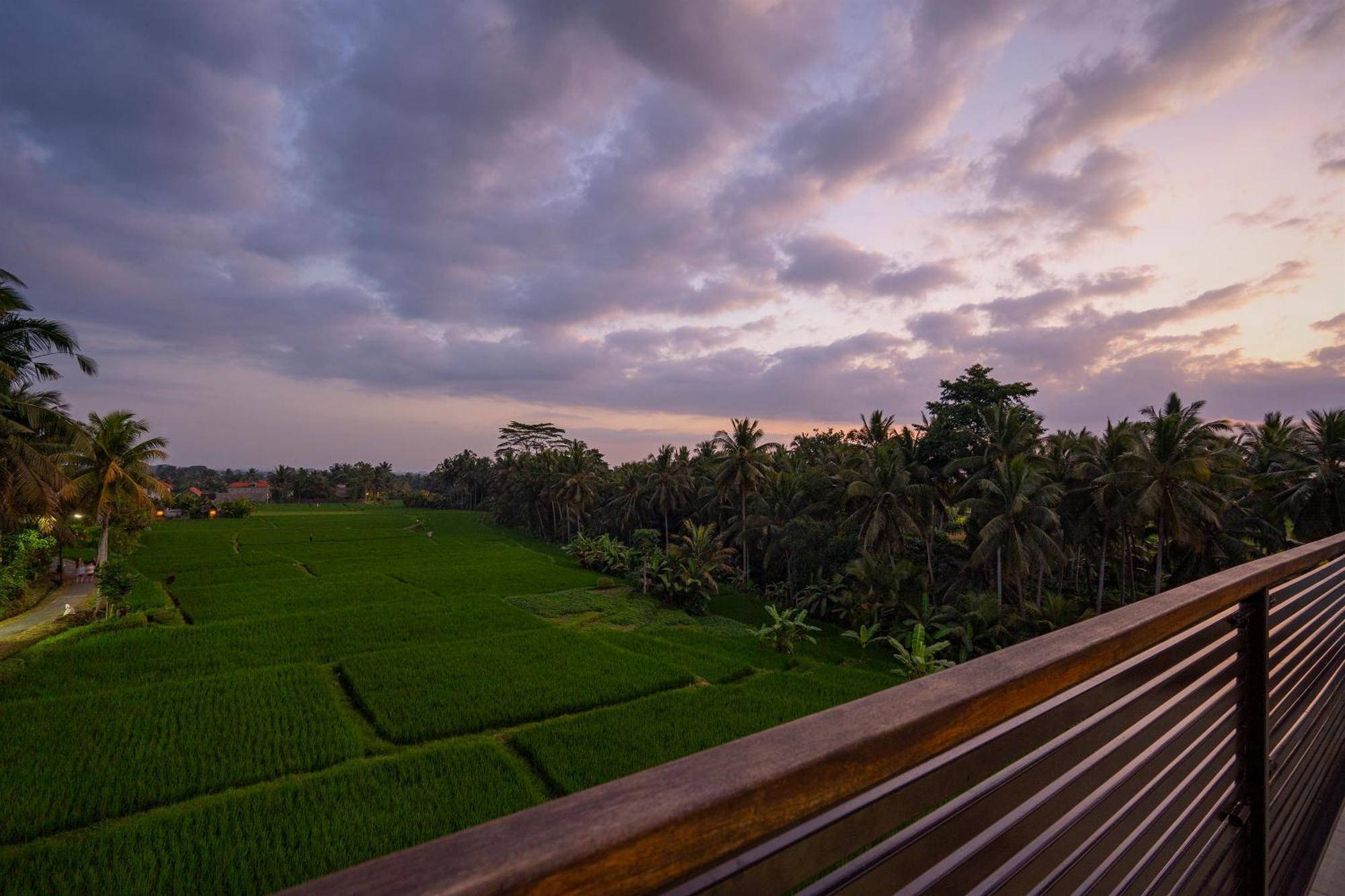 Villa The Luxe *